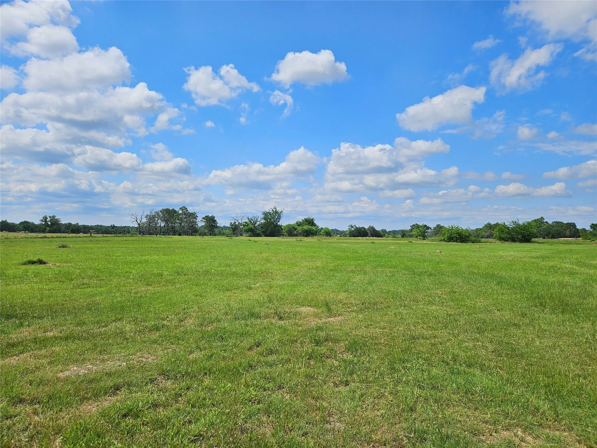 Unimproved Land For Sale in Van Zandt County , 10224 Fm 1861, Eustace, Texas 75124, 0, 0, Garage spaces, 0 Sqft, built in 0, Price $280,000, mls#21312051, Real Estate Agent in Eustace, Homes For Sale in Van Zandt county, Homes For Sale in Eustace, Realtor in Eustace Texas, Real Estate Brokerage Independent Realty Texas, Luminita Cordes Realtor
