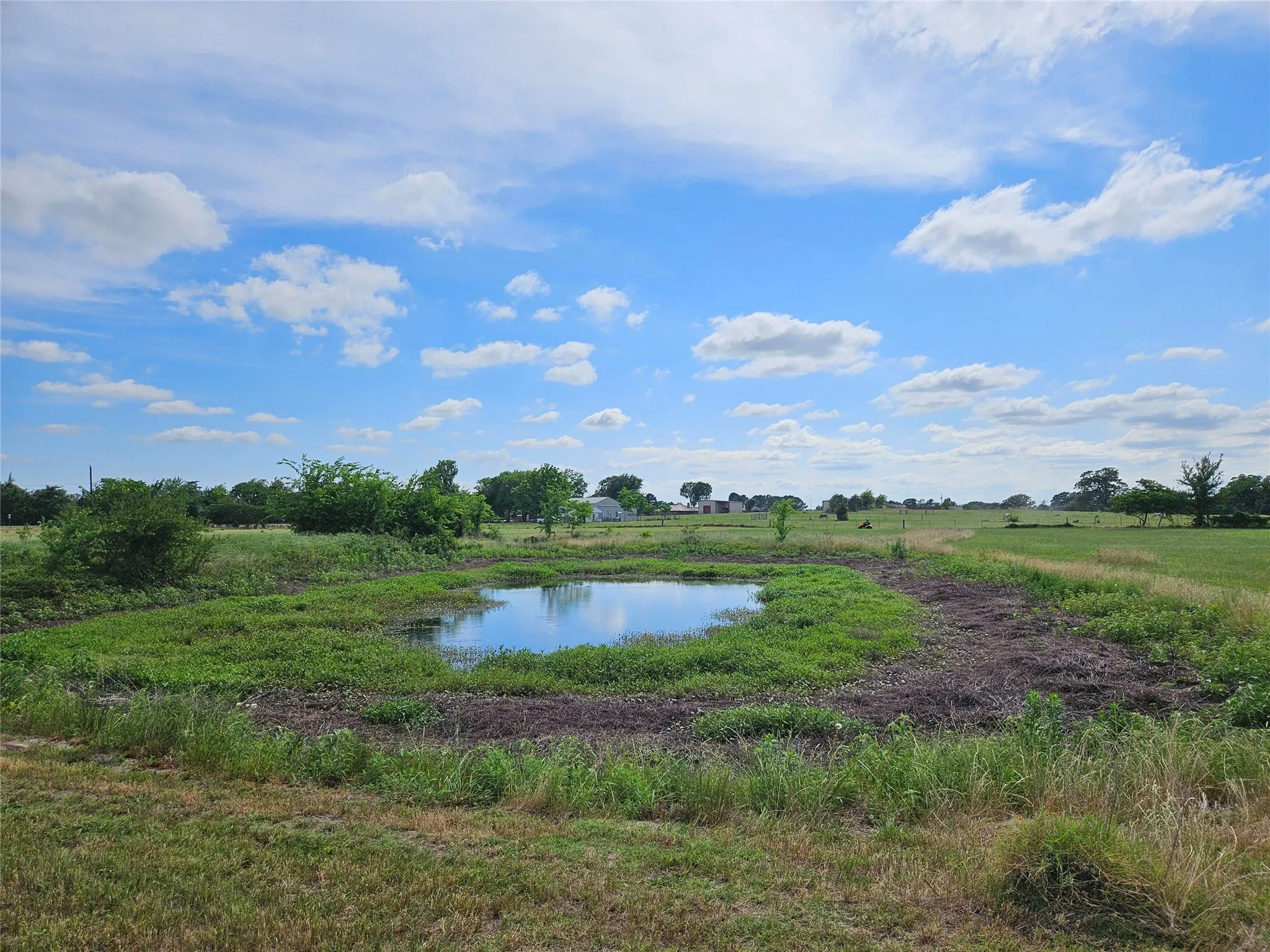 Unimproved Land For Sale in Van Zandt County , 10224 Fm 1861, Eustace, Texas 75124, 0, 0, Garage spaces, 0 Sqft, built in 0, Price $280,000, mls#21312051, Real Estate Agent in Eustace, Homes For Sale in Van Zandt county, Homes For Sale in Eustace, Realtor in Eustace Texas, Real Estate Brokerage Independent Realty Texas, Luminita Cordes Realtor
