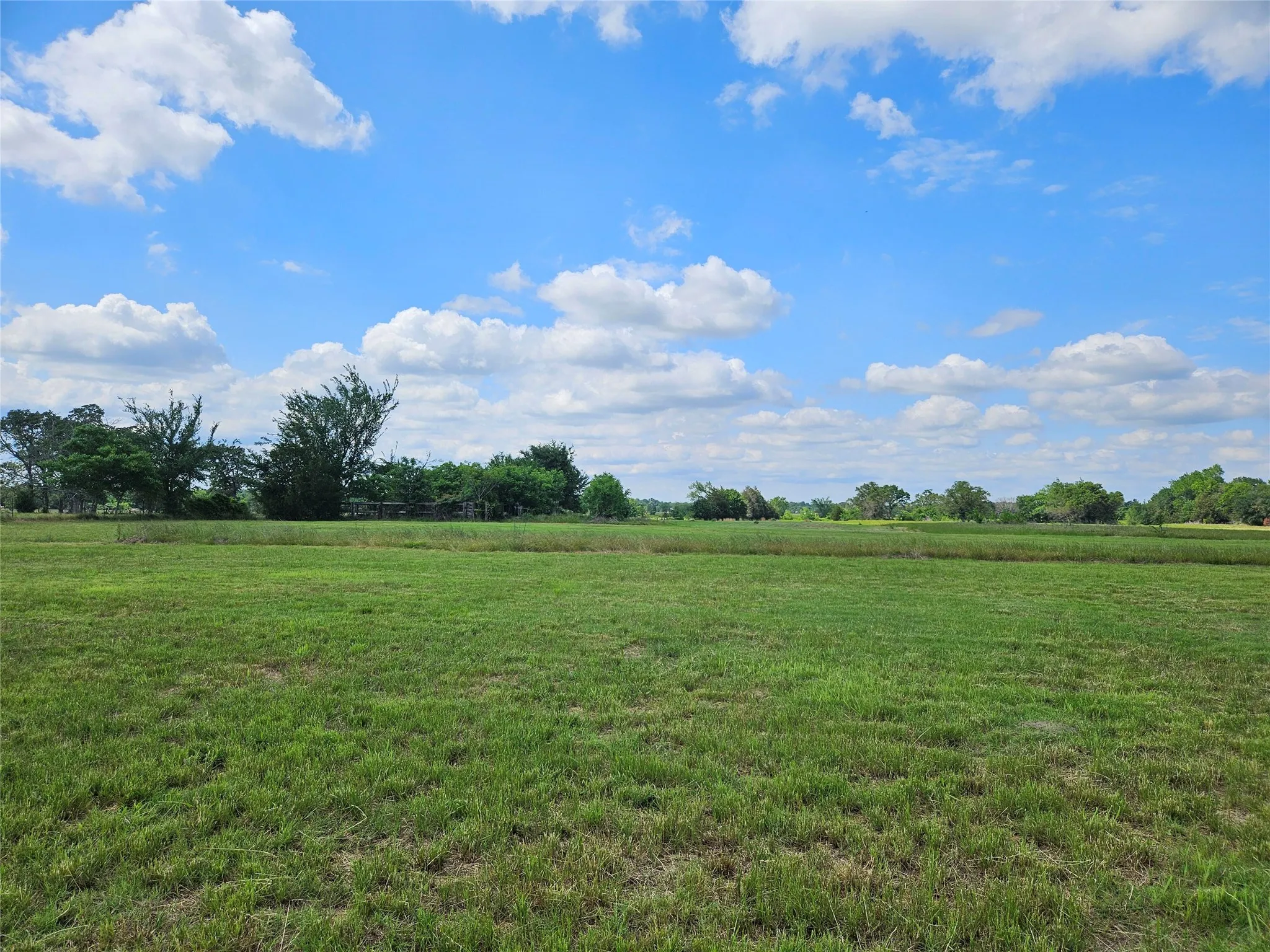Unimproved Land For Sale in Van Zandt County , 10224 Fm 1861, Eustace, Texas 75124, 0, 0, Garage spaces, 0 Sqft, built in 0, Price $280,000, mls#21312051, Real Estate Agent in Eustace, Homes For Sale in Van Zandt county, Homes For Sale in Eustace, Realtor in Eustace Texas, Real Estate Brokerage Independent Realty Texas, Luminita Cordes Realtor