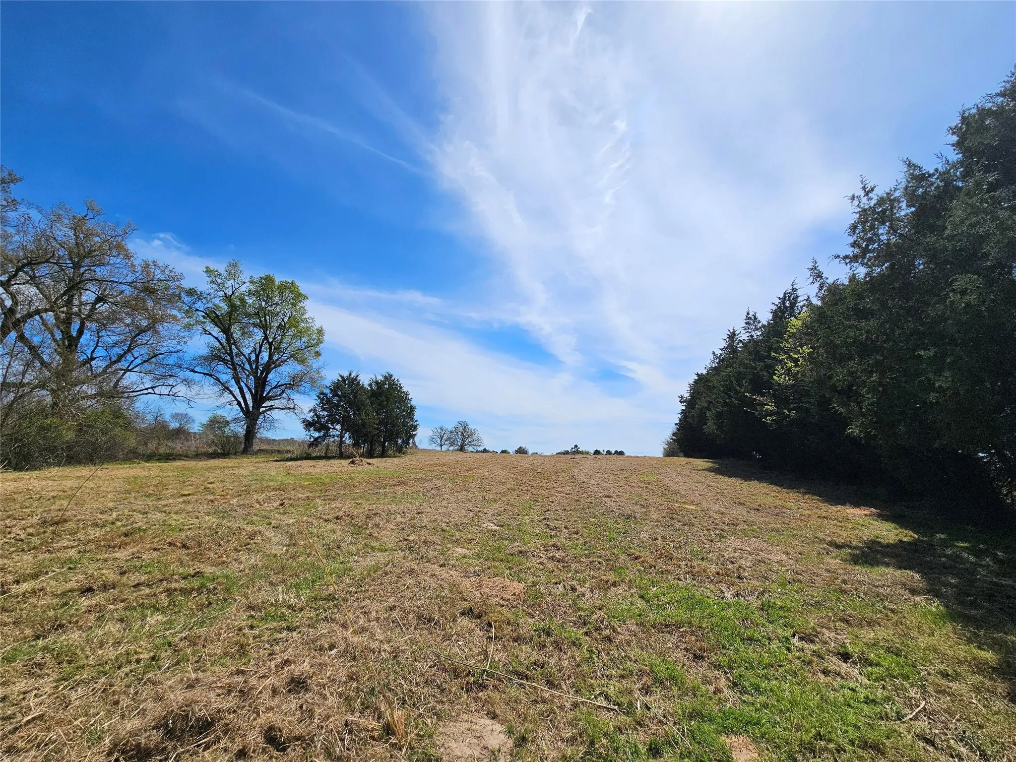 Unimproved Land For Sale in Van Zandt County , 10224 Fm 1861, Eustace, Texas 75124, 0, 0, Garage spaces, 0 Sqft, built in 0, Price $280,000, mls#21312051, Real Estate Agent in Eustace, Homes For Sale in Van Zandt county, Homes For Sale in Eustace, Realtor in Eustace Texas, Real Estate Brokerage Independent Realty Texas, Luminita Cordes Realtor