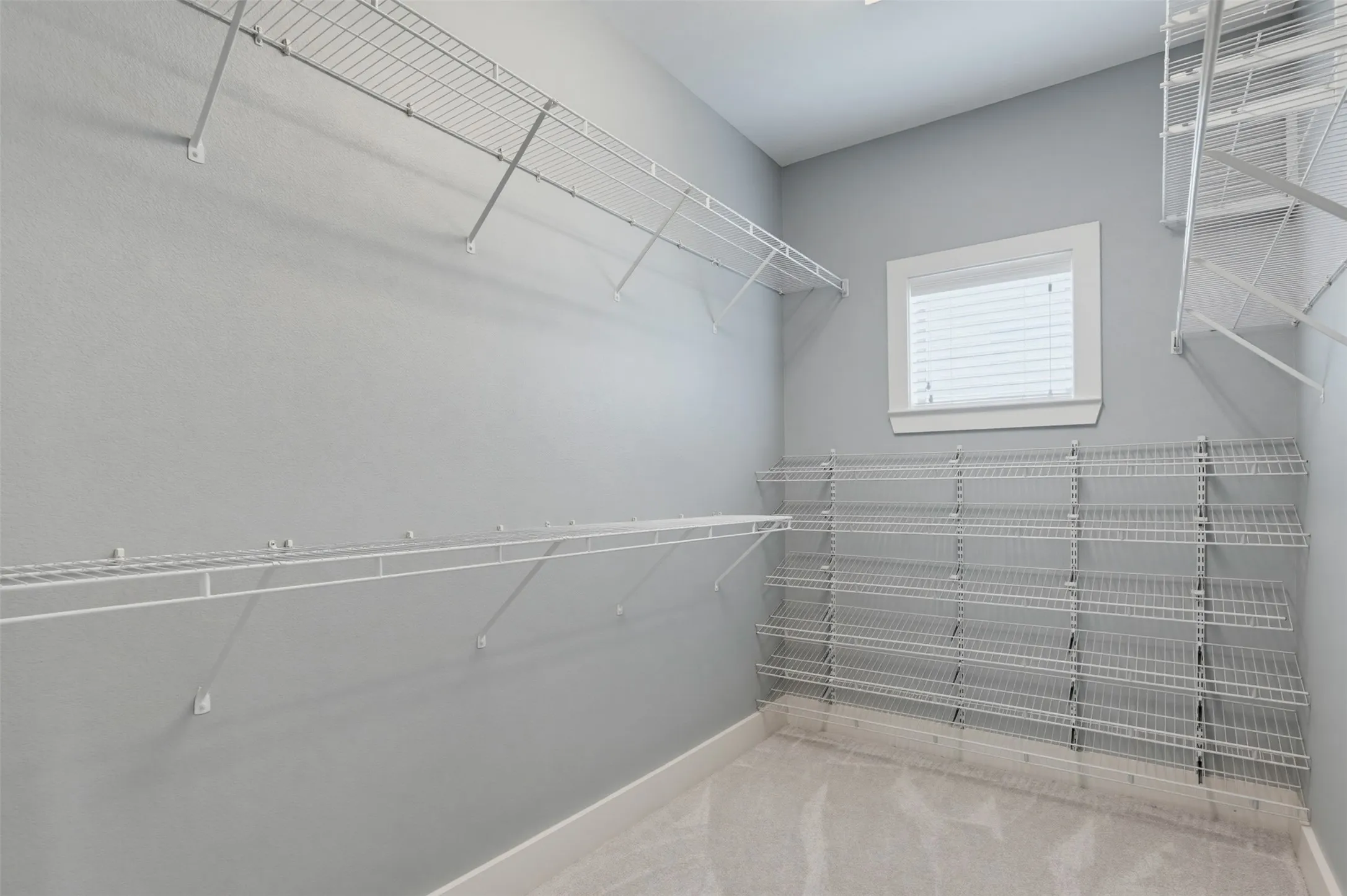 Walk-in closet featuring light gray walls, white wire shelving, white baseboards, and carpet flooring