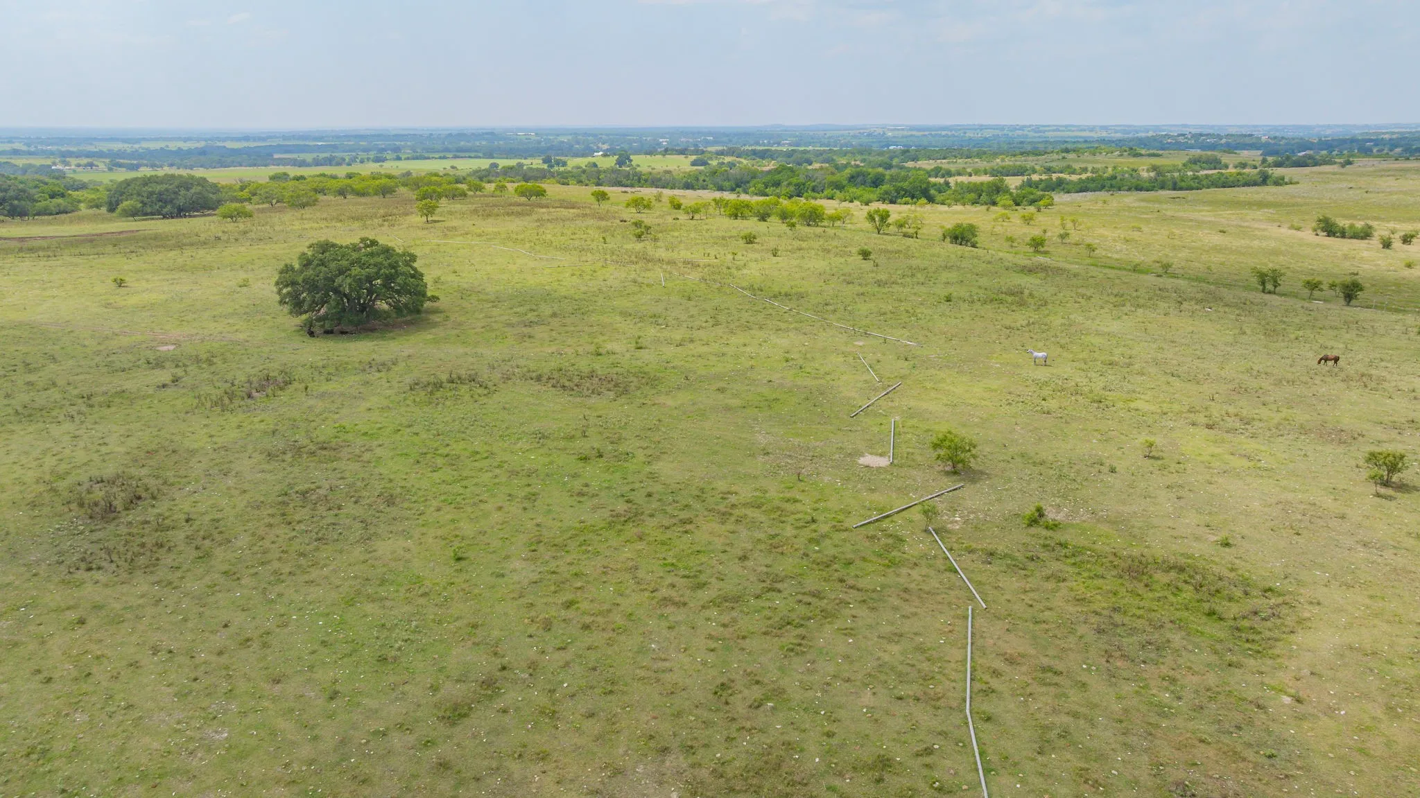 Ranch For Sale in Comanche County , 2901 Fm 1476, Dublin, Texas 76446, 0, 0, Garage spaces, 0 Sqft, built in 0, mls#21312082, Real Estate Agent in Dublin, Homes For Sale in Comanche county, Homes For Sale in Dublin, Realtor in Dublin Texas, Real Estate Brokerage Independent Realty Texas, Luminita Cordes Realtor