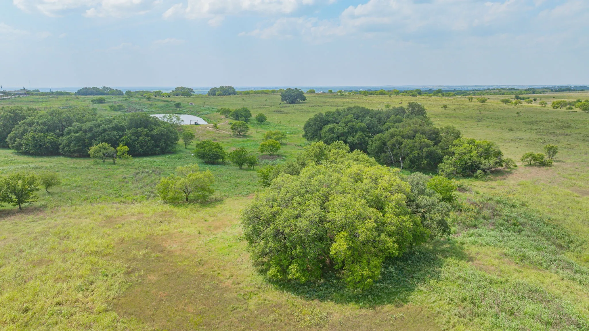 Ranch For Sale in Comanche County , 2901 Fm 1476, Dublin, Texas 76446, 0, 0, Garage spaces, 0 Sqft, built in 0, mls#21312082, Real Estate Agent in Dublin, Homes For Sale in Comanche county, Homes For Sale in Dublin, Realtor in Dublin Texas, Real Estate Brokerage Independent Realty Texas, Luminita Cordes Realtor
