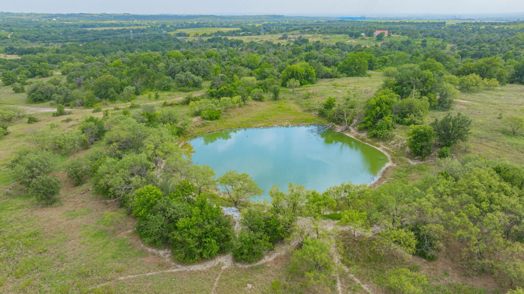 Ranch For Sale in Comanche County , 2901 Fm 1476, Dublin, Texas 76446, 0, 0, Garage spaces, 0 Sqft, built in 0, mls#21312082, Real Estate Agent in Dublin, Homes For Sale in Comanche county, Homes For Sale in Dublin, Realtor in Dublin Texas, Real Estate Brokerage Independent Realty Texas, Luminita Cordes Realtor