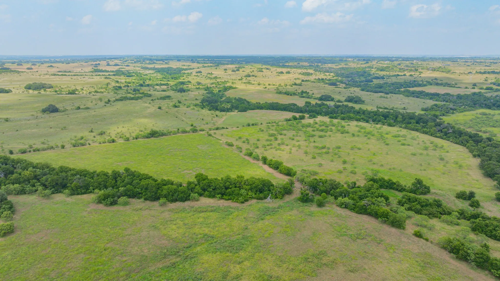 Ranch For Sale in Comanche County , 2901 Fm 1476, Dublin, Texas 76446, 0, 0, Garage spaces, 0 Sqft, built in 0, mls#21312082, Real Estate Agent in Dublin, Homes For Sale in Comanche county, Homes For Sale in Dublin, Realtor in Dublin Texas, Real Estate Brokerage Independent Realty Texas, Luminita Cordes Realtor