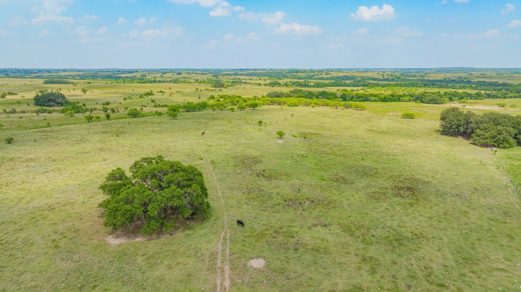 Ranch For Sale in Comanche County , 2901 Fm 1476, Dublin, Texas 76446, 0, 0, Garage spaces, 0 Sqft, built in 0, mls#21312082, Real Estate Agent in Dublin, Homes For Sale in Comanche county, Homes For Sale in Dublin, Realtor in Dublin Texas, Real Estate Brokerage Independent Realty Texas, Luminita Cordes Realtor