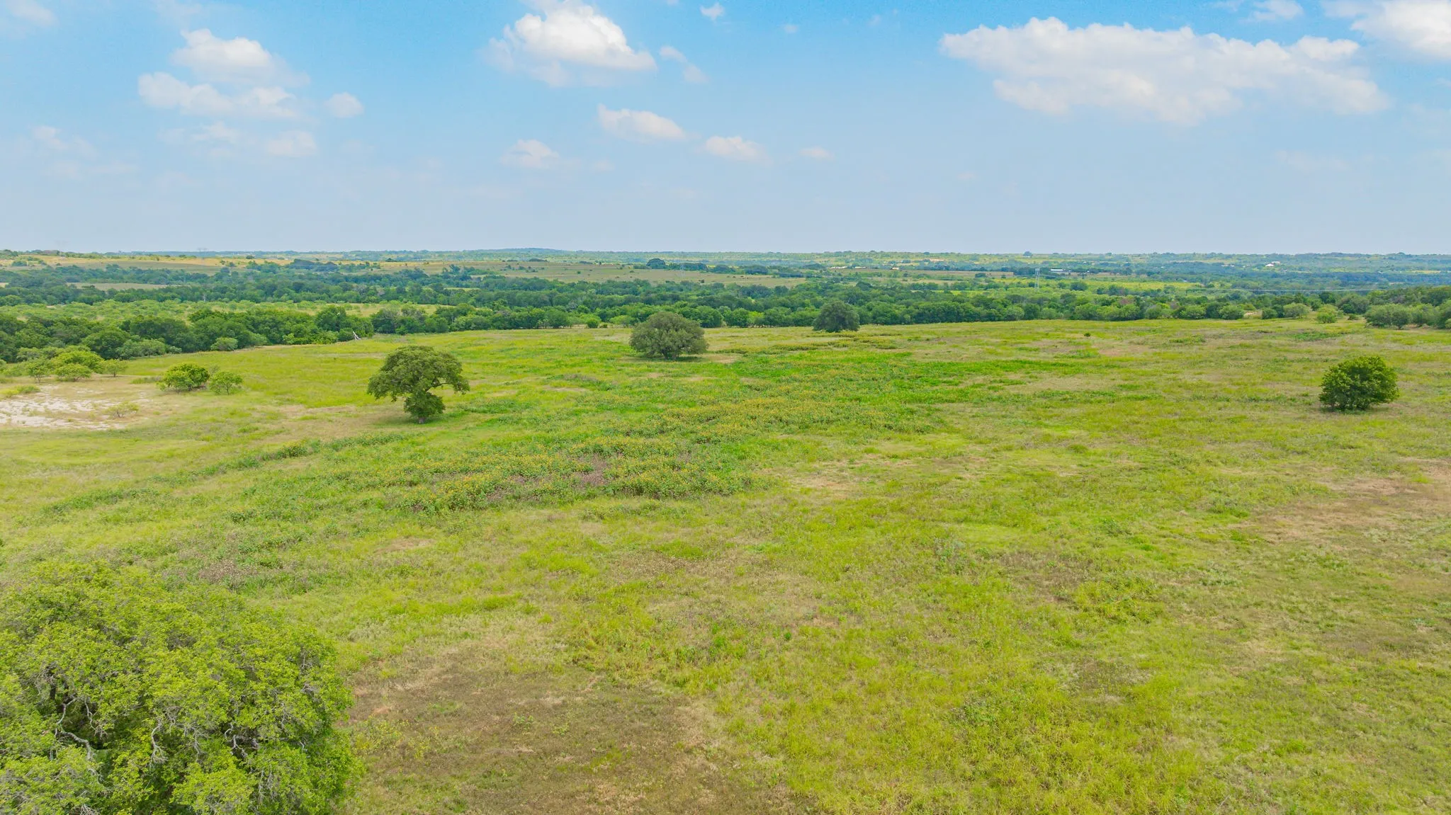 Ranch For Sale in Comanche County , 2901 Fm 1476, Dublin, Texas 76446, 0, 0, Garage spaces, 0 Sqft, built in 0, mls#21312082, Real Estate Agent in Dublin, Homes For Sale in Comanche county, Homes For Sale in Dublin, Realtor in Dublin Texas, Real Estate Brokerage Independent Realty Texas, Luminita Cordes Realtor