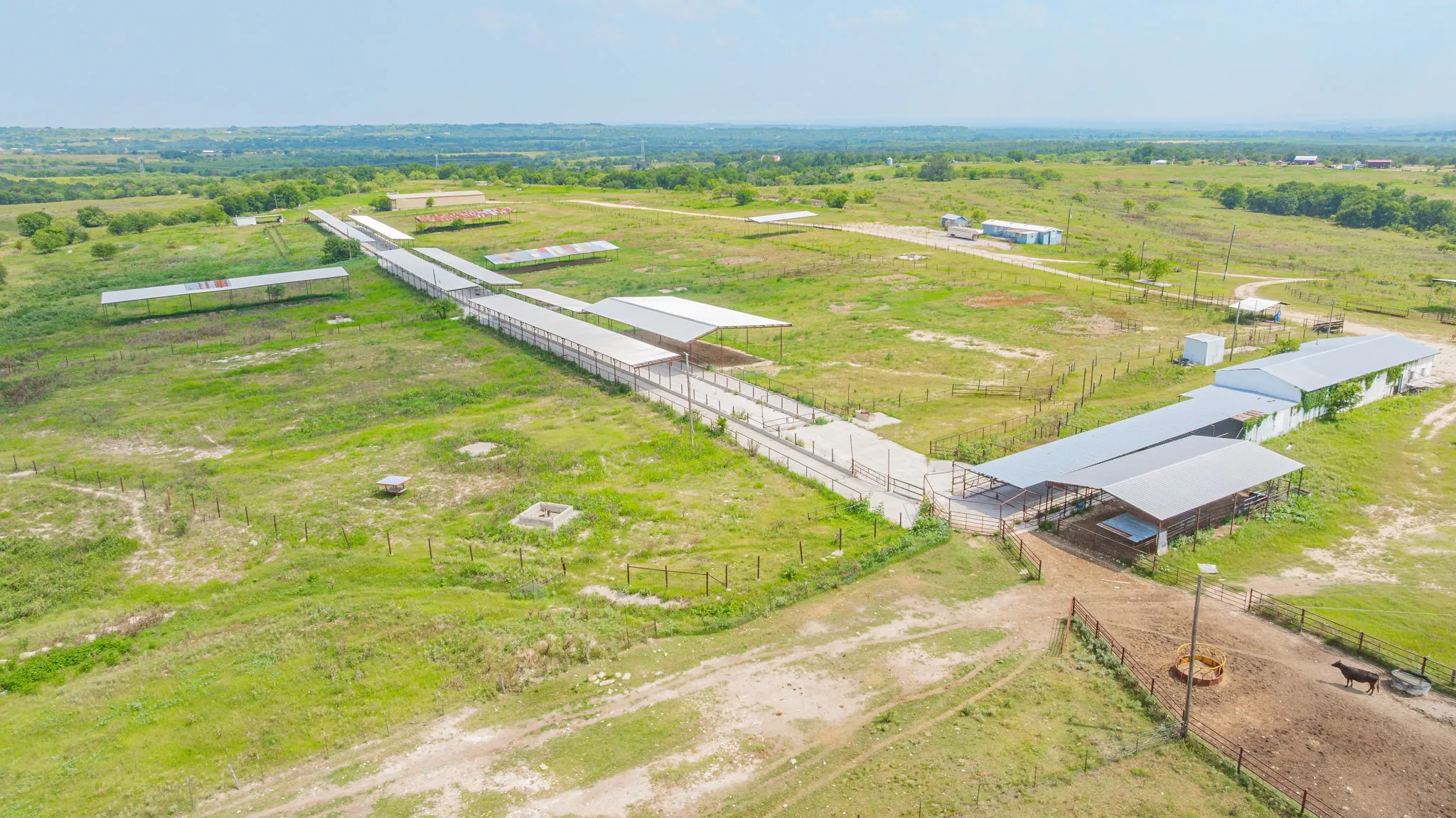 Ranch For Sale in Comanche County , 2901 Fm 1476, Dublin, Texas 76446, 0, 0, Garage spaces, 0 Sqft, built in 0, mls#21312082, Real Estate Agent in Dublin, Homes For Sale in Comanche county, Homes For Sale in Dublin, Realtor in Dublin Texas, Real Estate Brokerage Independent Realty Texas, Luminita Cordes Realtor