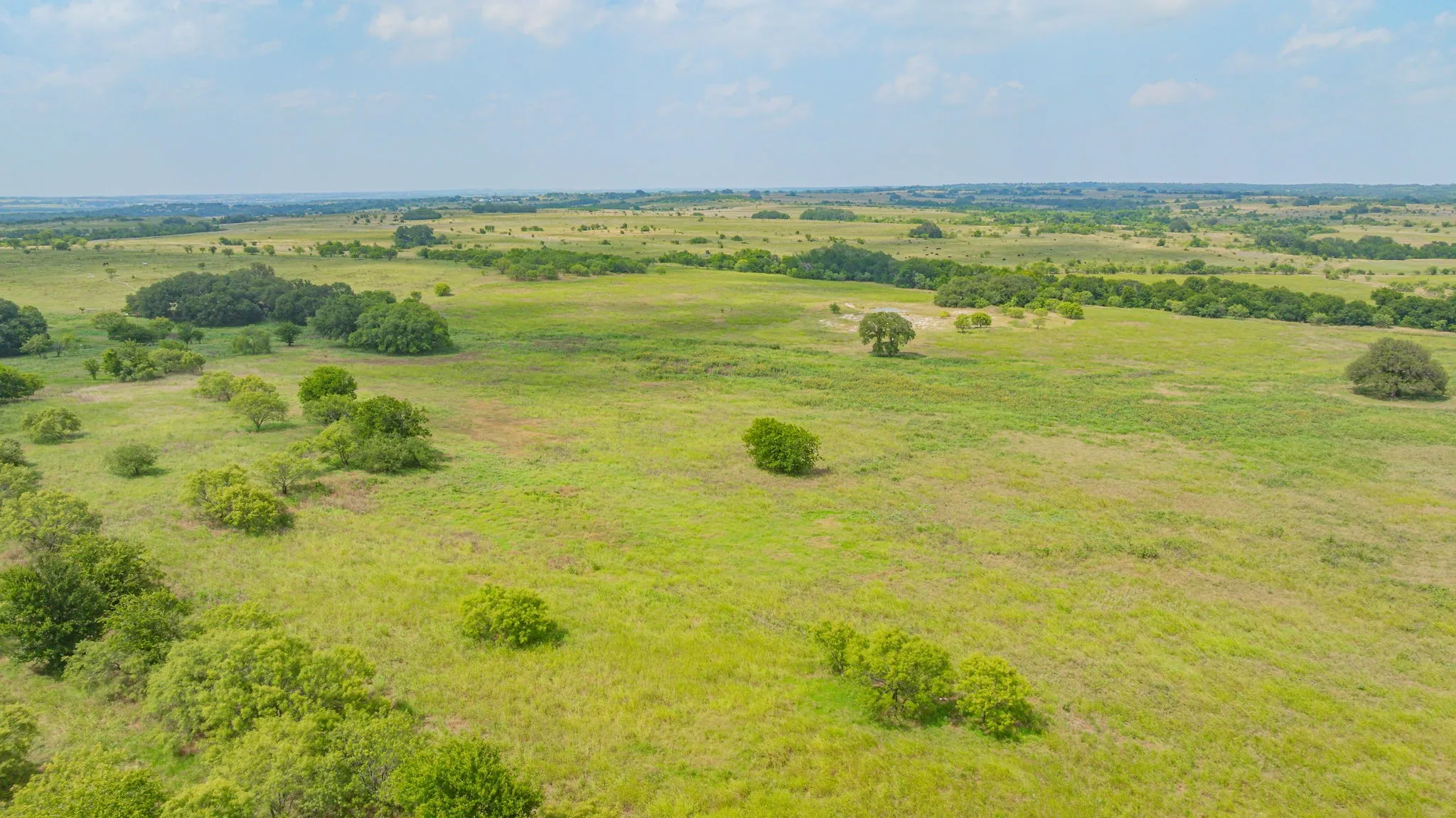 Ranch For Sale in Comanche County , 2901 Fm 1476, Dublin, Texas 76446, 0, 0, Garage spaces, 0 Sqft, built in 0, mls#21312082, Real Estate Agent in Dublin, Homes For Sale in Comanche county, Homes For Sale in Dublin, Realtor in Dublin Texas, Real Estate Brokerage Independent Realty Texas, Luminita Cordes Realtor
