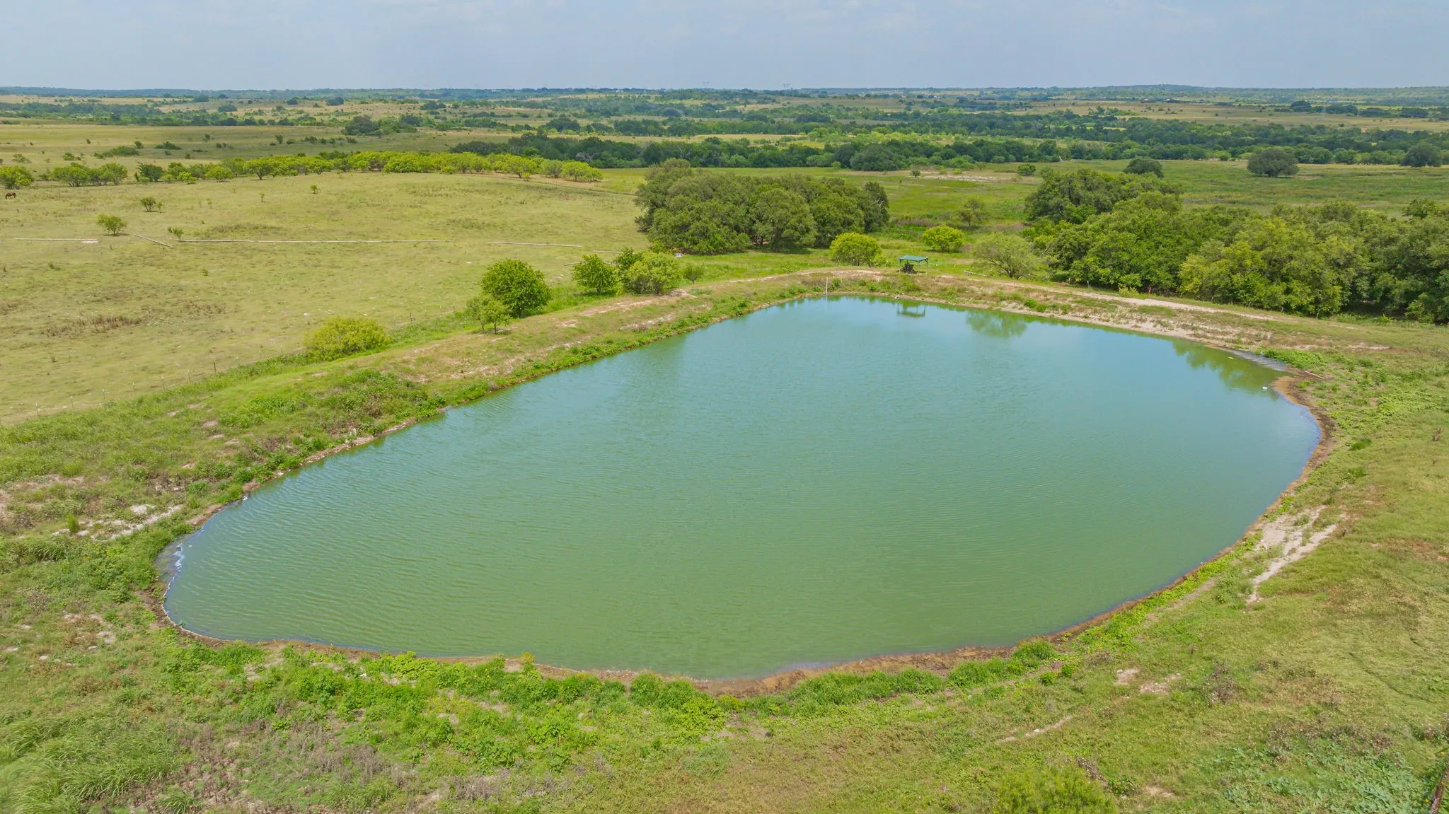 Ranch For Sale in Comanche County , 2901 Fm 1476, Dublin, Texas 76446, 0, 0, Garage spaces, 0 Sqft, built in 0, mls#21312082, Real Estate Agent in Dublin, Homes For Sale in Comanche county, Homes For Sale in Dublin, Realtor in Dublin Texas, Real Estate Brokerage Independent Realty Texas, Luminita Cordes Realtor