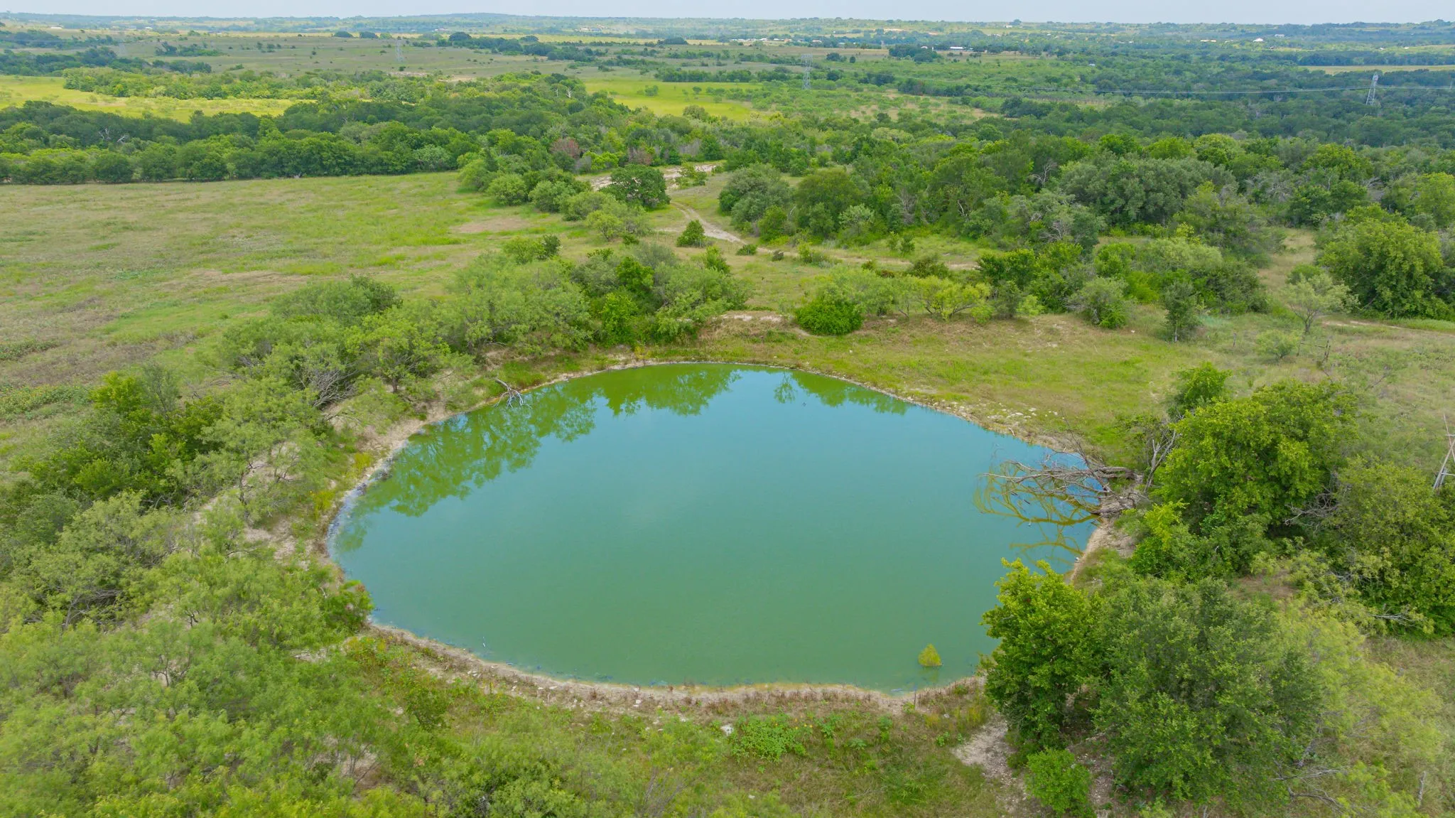 Ranch For Sale in Comanche County , 2901 Fm 1476, Dublin, Texas 76446, 0, 0, Garage spaces, 0 Sqft, built in 0, mls#21312082, Real Estate Agent in Dublin, Homes For Sale in Comanche county, Homes For Sale in Dublin, Realtor in Dublin Texas, Real Estate Brokerage Independent Realty Texas, Luminita Cordes Realtor