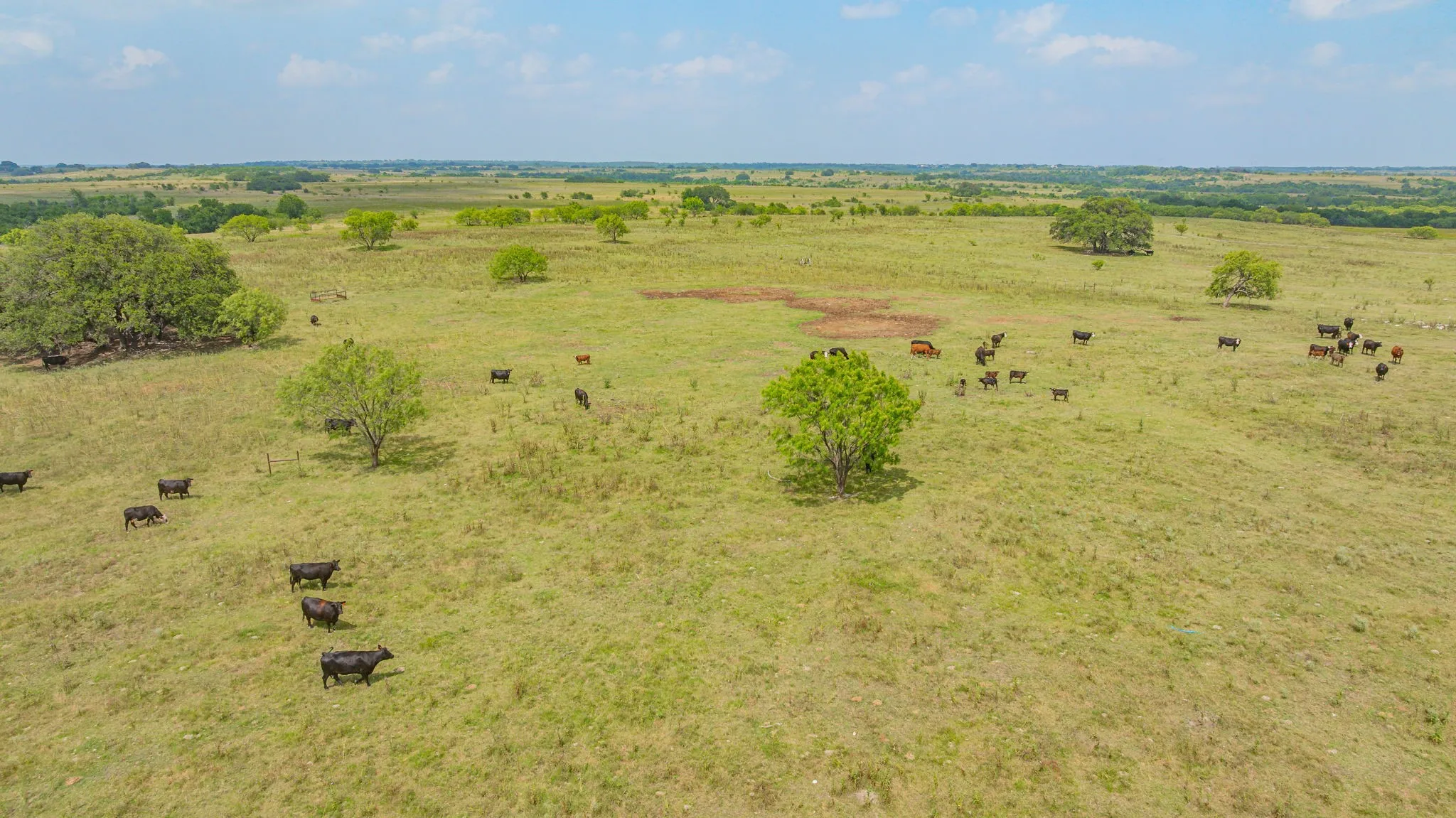 Ranch For Sale in Comanche County , 2901 Fm 1476, Dublin, Texas 76446, 0, 0, Garage spaces, 0 Sqft, built in 0, mls#21312082, Real Estate Agent in Dublin, Homes For Sale in Comanche county, Homes For Sale in Dublin, Realtor in Dublin Texas, Real Estate Brokerage Independent Realty Texas, Luminita Cordes Realtor