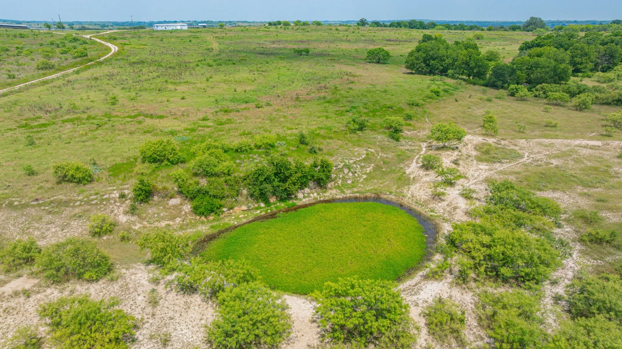 Ranch For Sale in Comanche County , 2901 Fm 1476, Dublin, Texas 76446, 0, 0, Garage spaces, 0 Sqft, built in 0, mls#21312082, Real Estate Agent in Dublin, Homes For Sale in Comanche county, Homes For Sale in Dublin, Realtor in Dublin Texas, Real Estate Brokerage Independent Realty Texas, Luminita Cordes Realtor