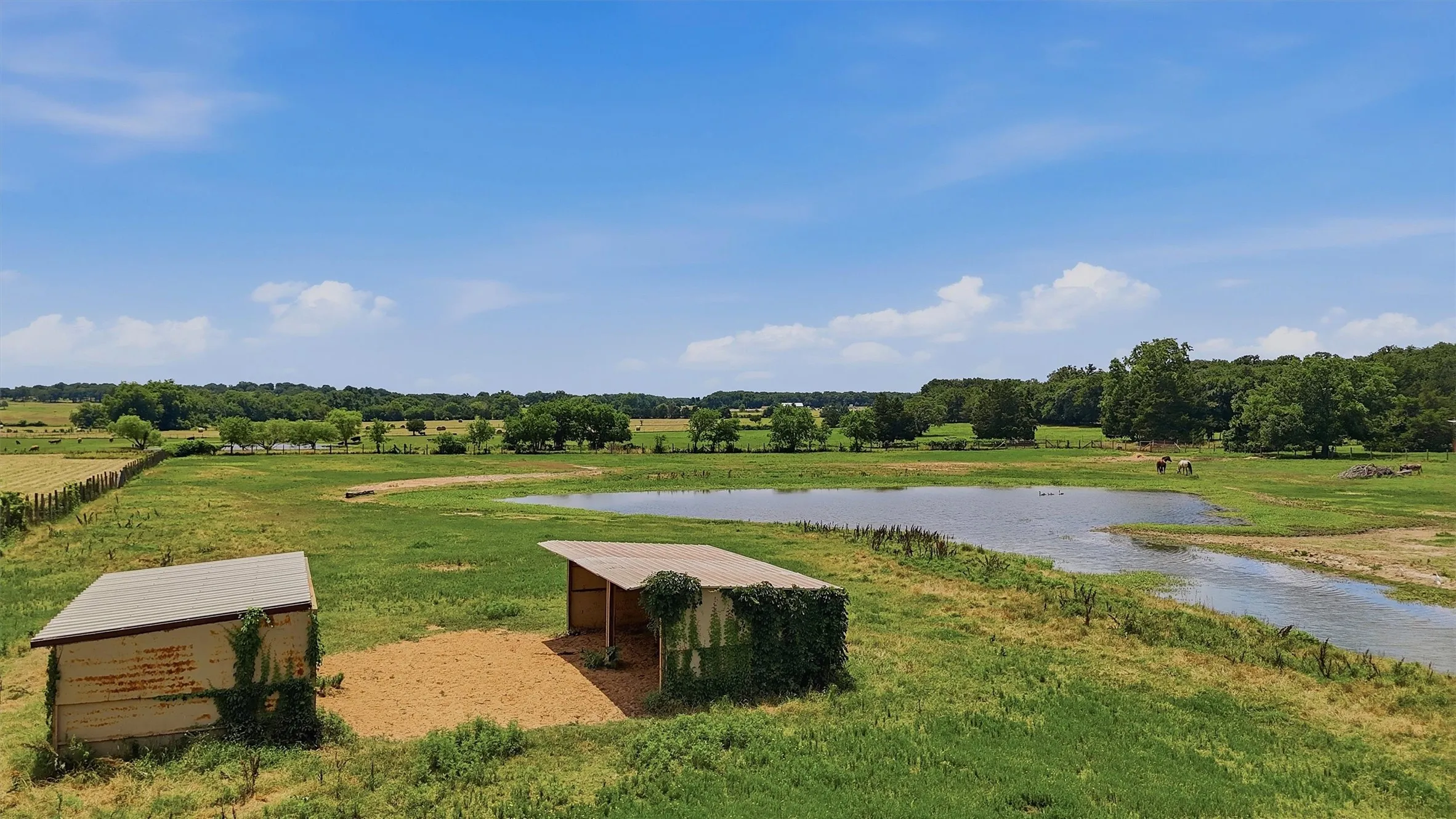 Farm For Sale in Cooke County , 7154 E Fm 922, Valley View, Texas 76272, 3 Bedrooms, 3 Bathrooms, Garage spaces, 3,165 Sqft, built in 1988, Price $2,500,000, mls#21302346, Real Estate Agent in Valley View, Homes For Sale in Cooke county, Homes For Sale in Valley View, Realtor in Valley View Texas, Real Estate Brokerage Independent Realty Texas, Luminita Cordes Realtor
