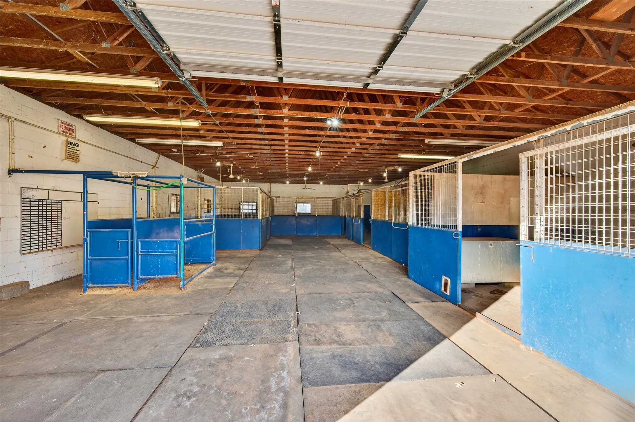 Spacious barn interior featuring 8 stalls with wire tops for air flow, concrete flooring, and an exposed wood beam ceiling with fluorescent lighting