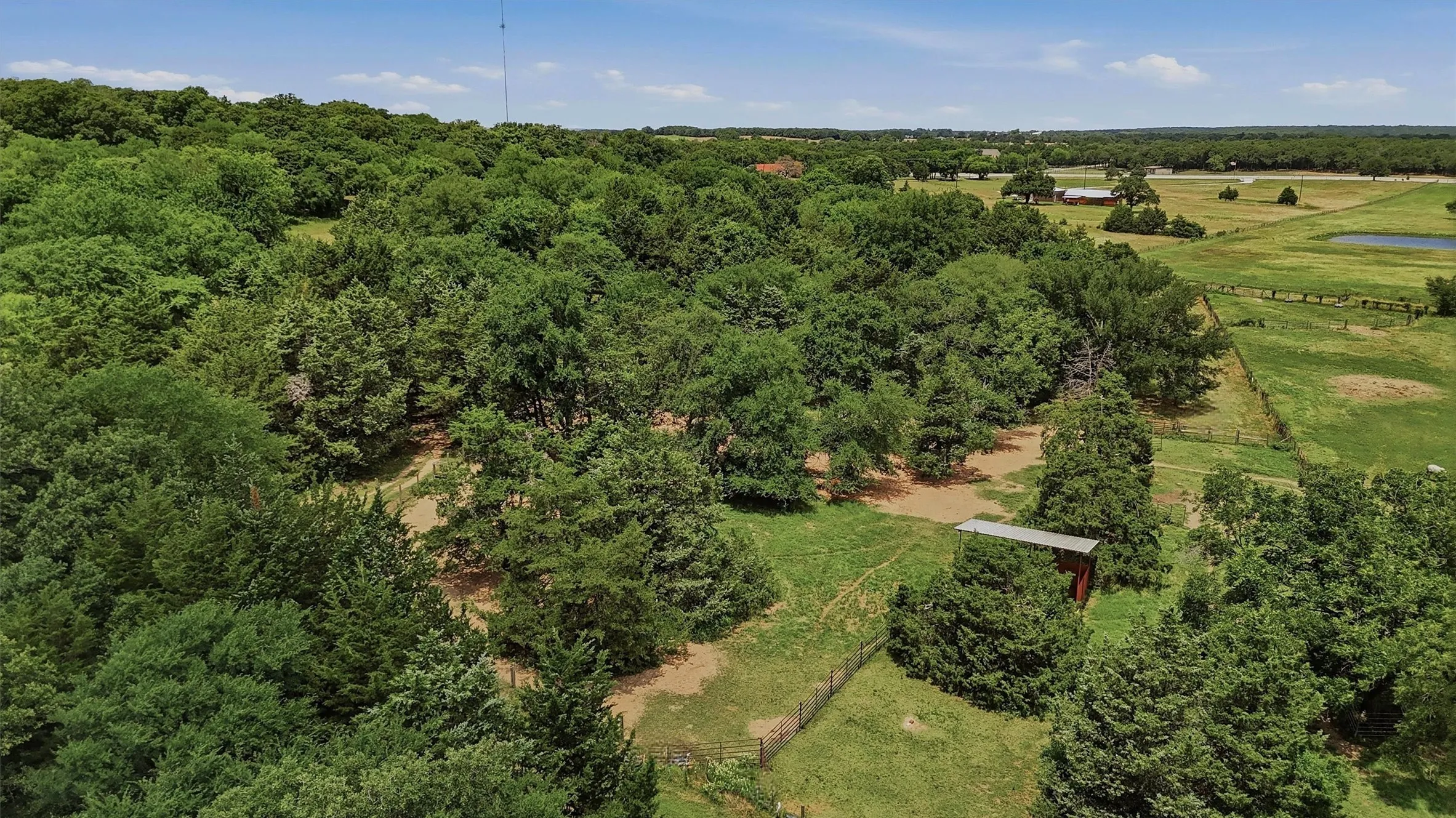 Expansive wooded acreage featuring mature trees and open clearings