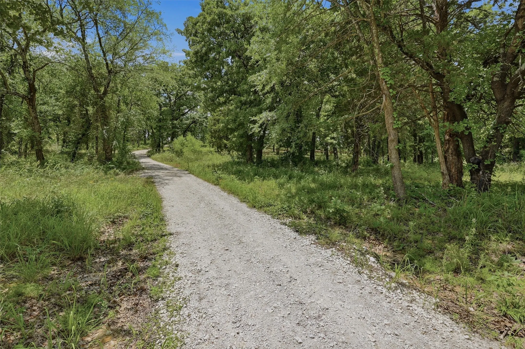 Gravel pathway surrounded by mature trees and natural landscaping