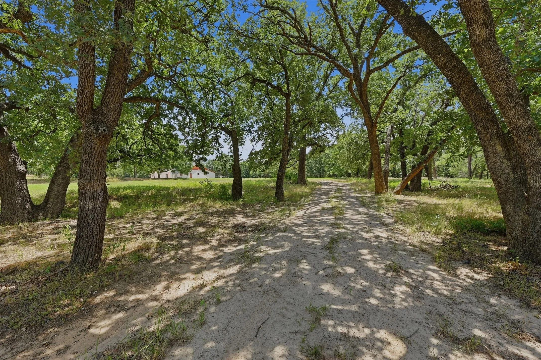 Sand and gravel driveway bordered by mature trees
