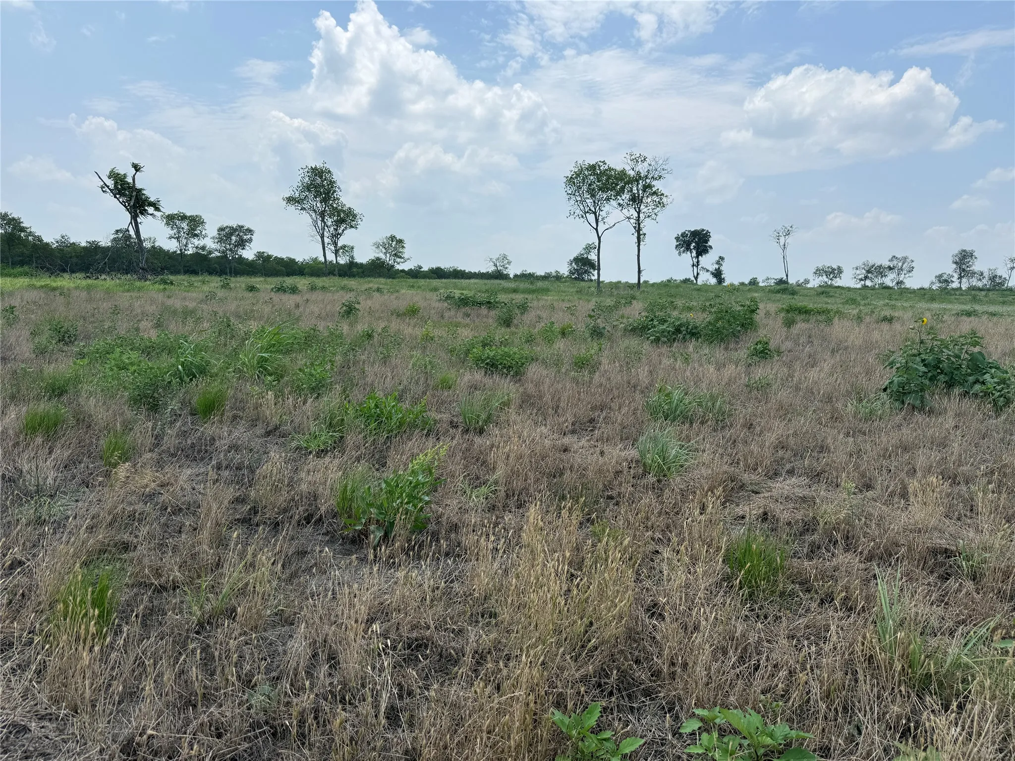 Looking across the property toward the shoreline and lake beyond.