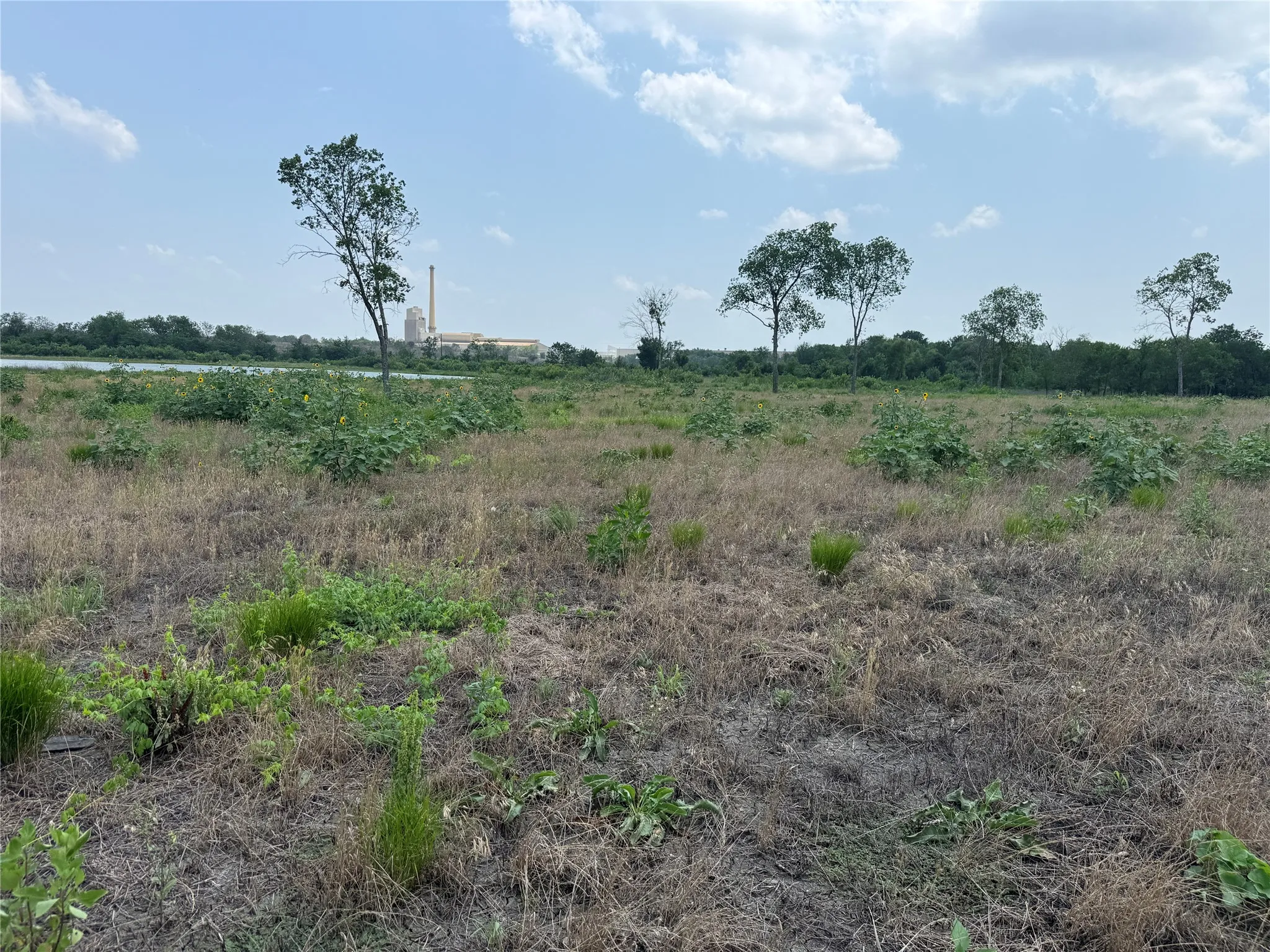 Open meadow-like setting with lake views visible in the distance.