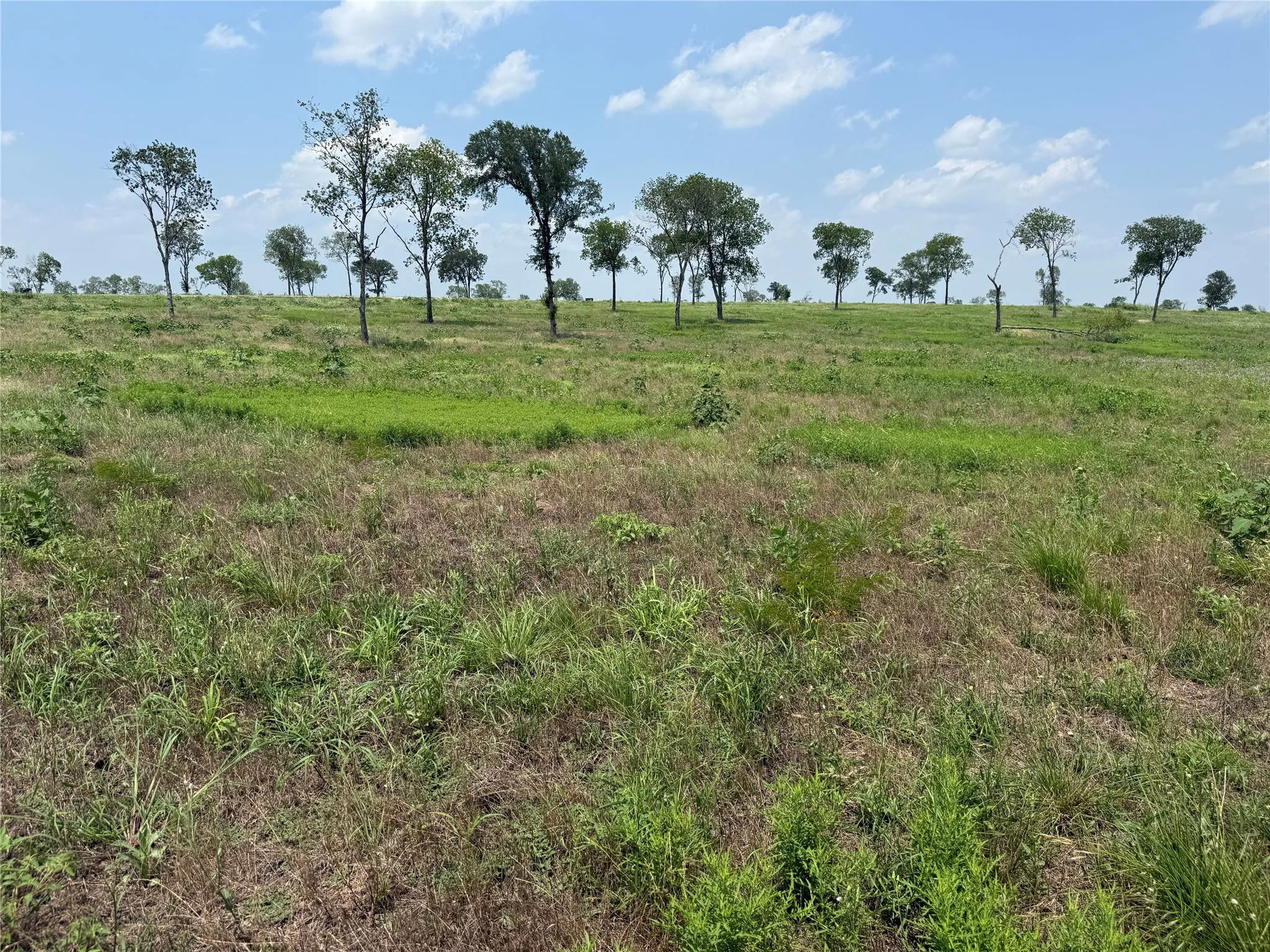 Gently sloping terrain creates visual interest throughout the homesite.