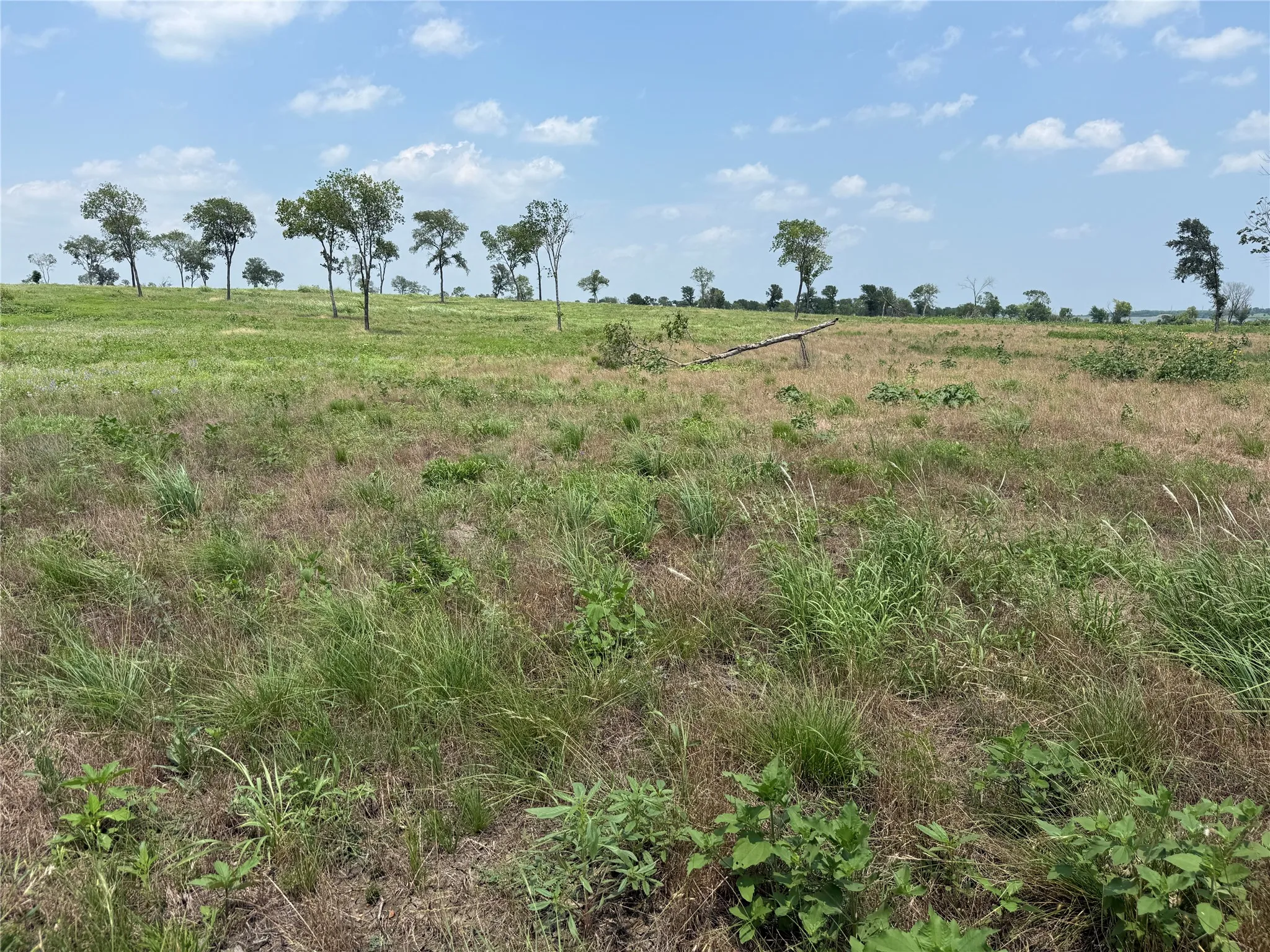 Native vegetation and scattered trees enhance the property's character.