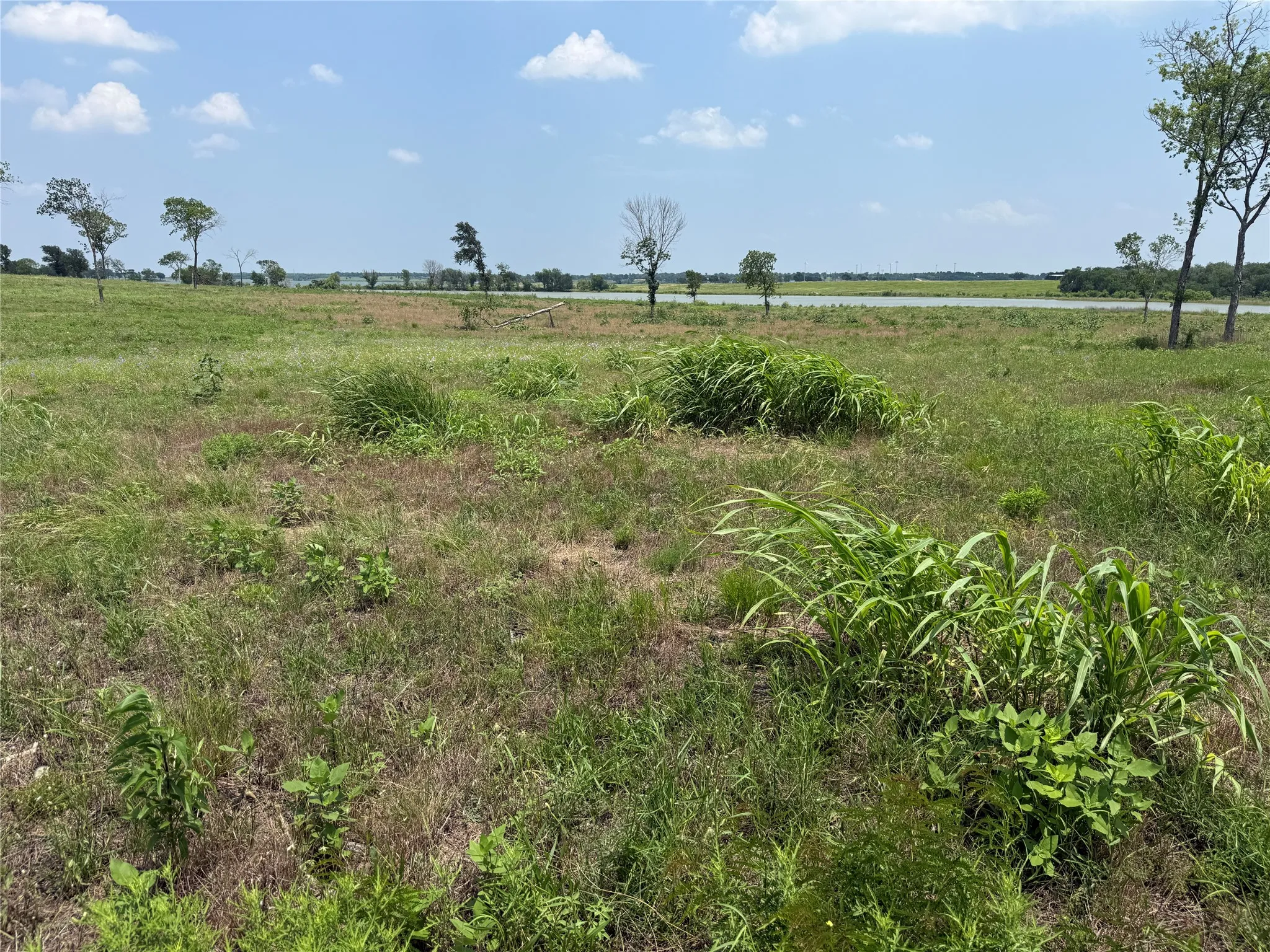 Broad view across the homesite toward the lake and surrounding green space.