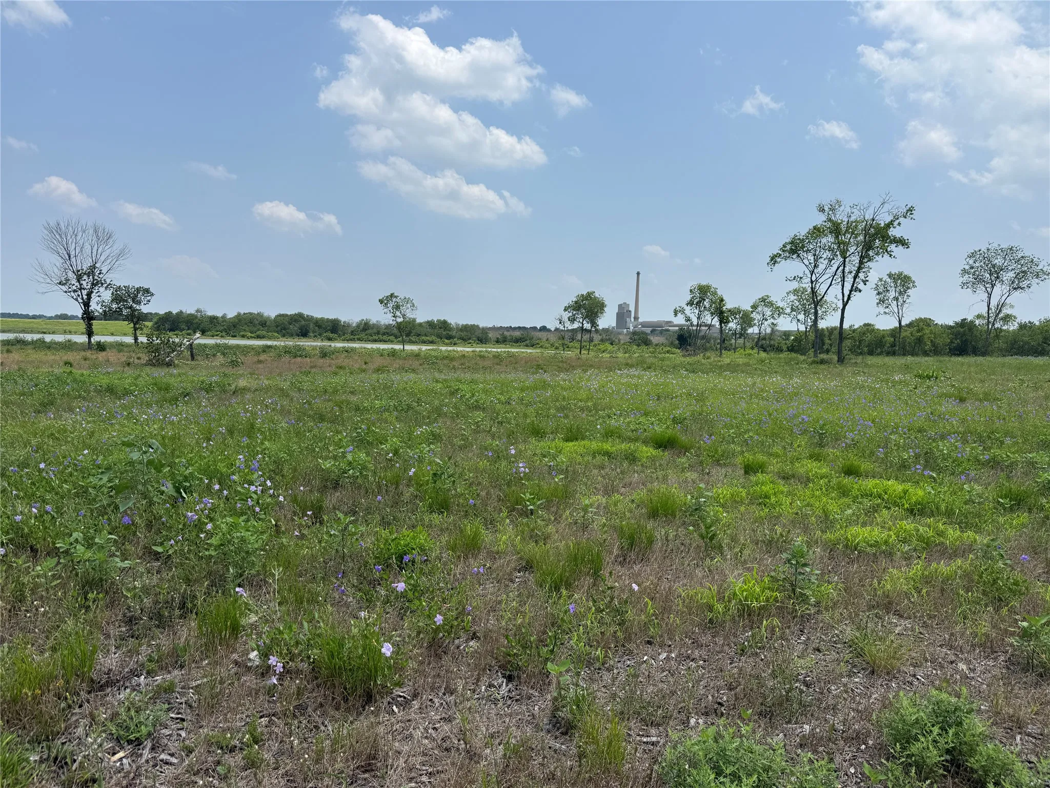 Open grassy area leading toward the waterfront section of the property.