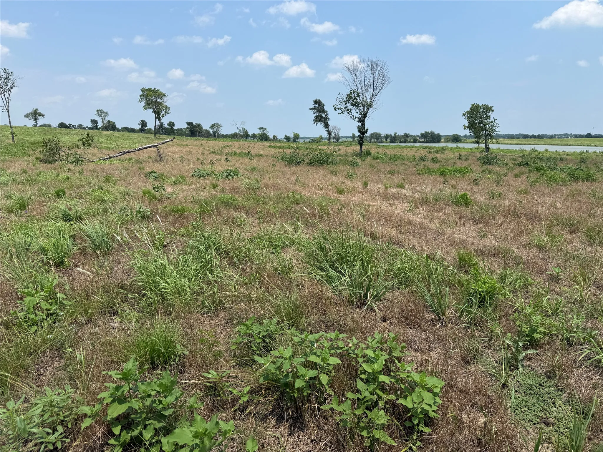 Looking across the lot toward the lakefront portion of the property.