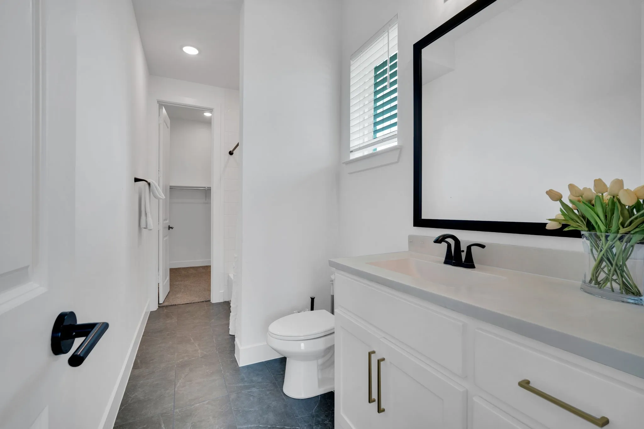 Downstairs ensuite bathroom and walk in closet.