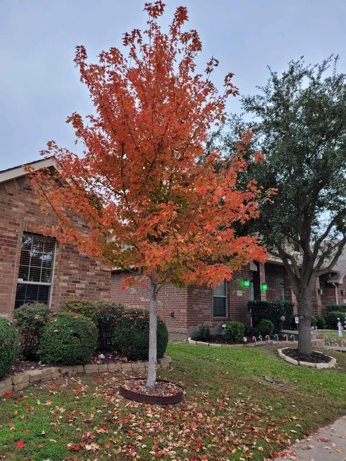 Don't wait too late to buy this home!