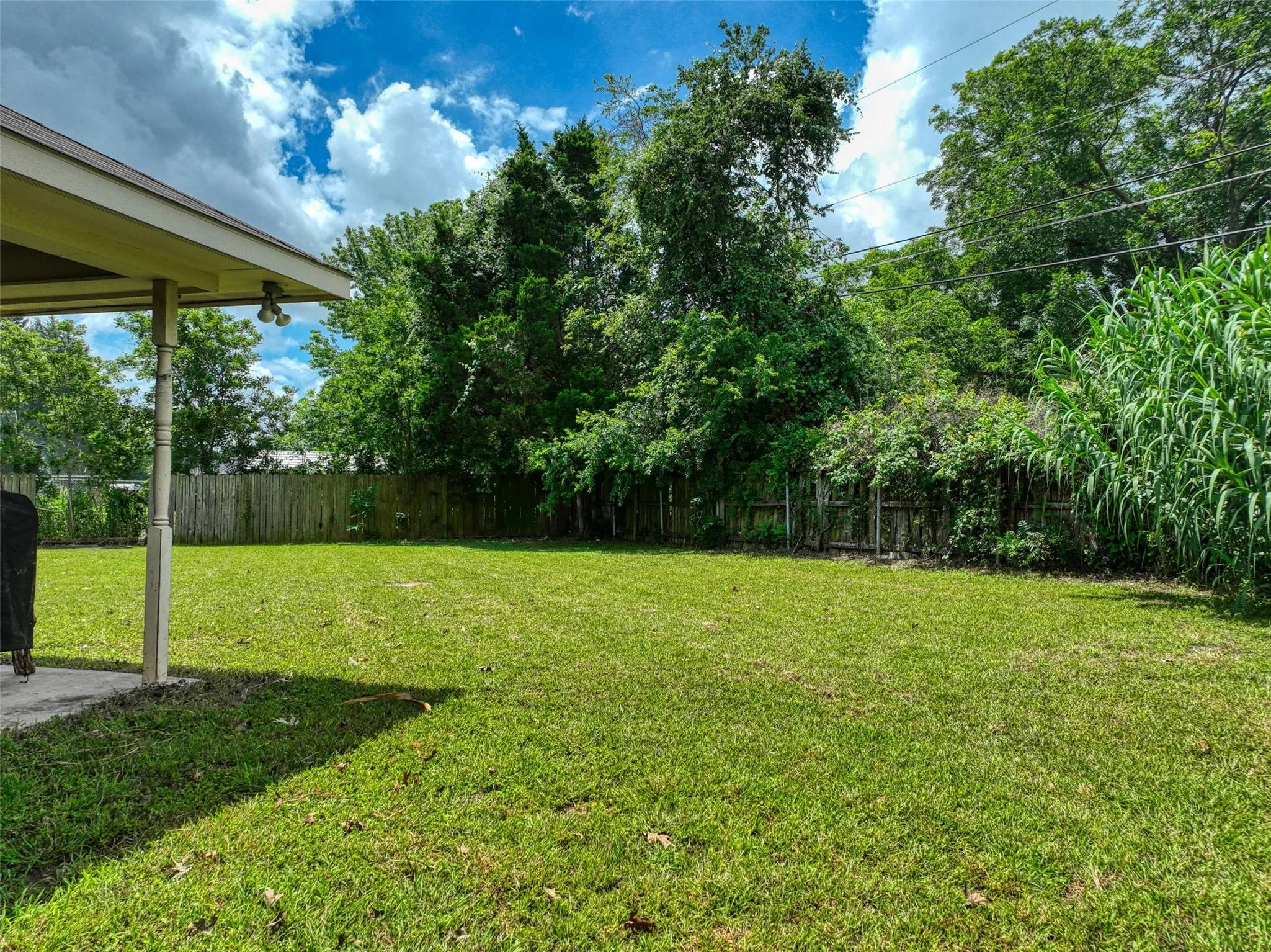 back yard