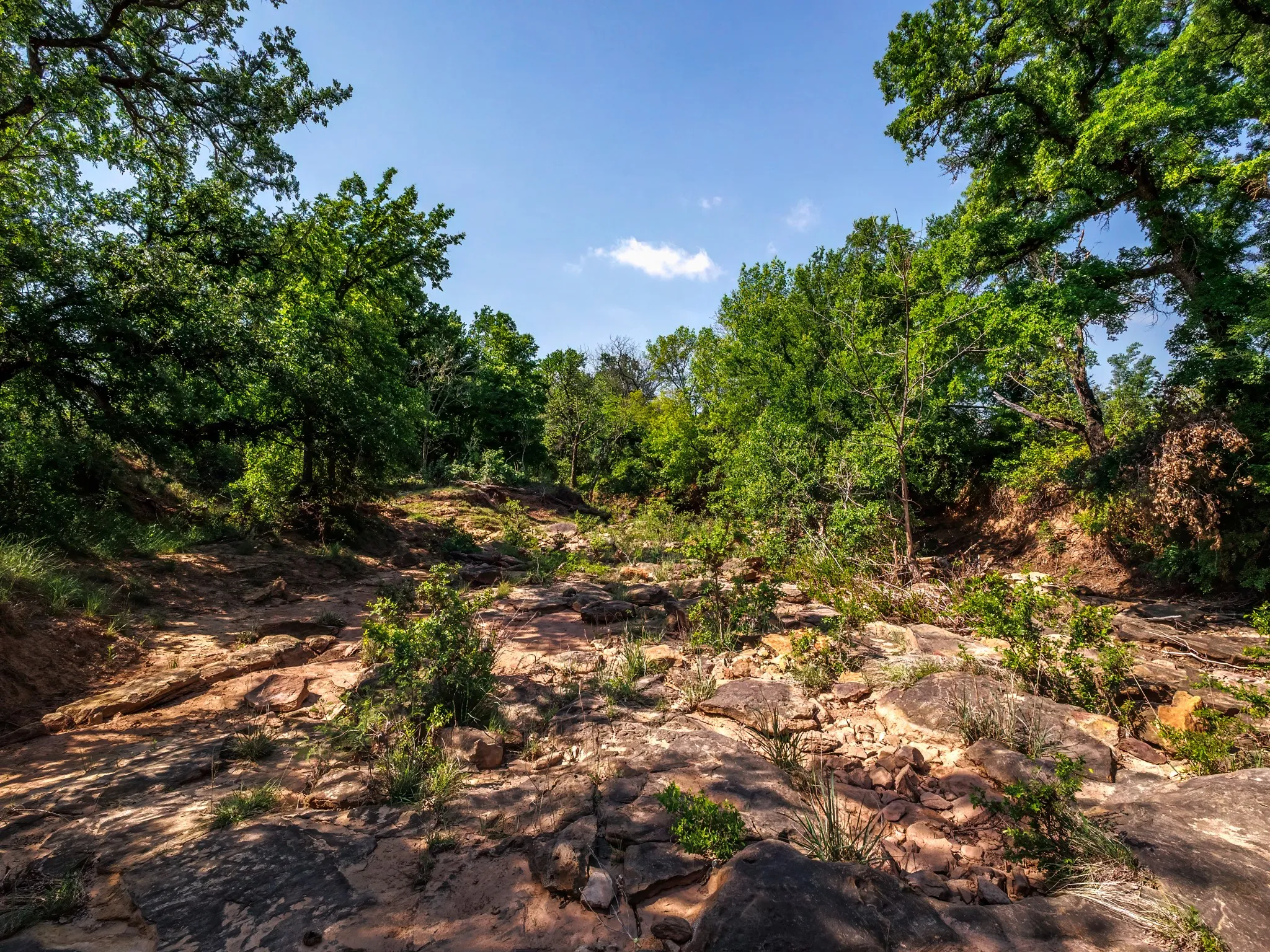 Unimproved Land For Sale in Brown County , 3051 County Road 411 W, Brownwood, Texas 76801, 0, 0, Garage spaces, 0 Sqft, built in 0, mls#21306446, Real Estate Agent in Brownwood, Homes For Sale in Brown county, Homes For Sale in Brownwood, Realtor in Brownwood Texas, Real Estate Brokerage Independent Realty Texas, Luminita Cordes Realtor