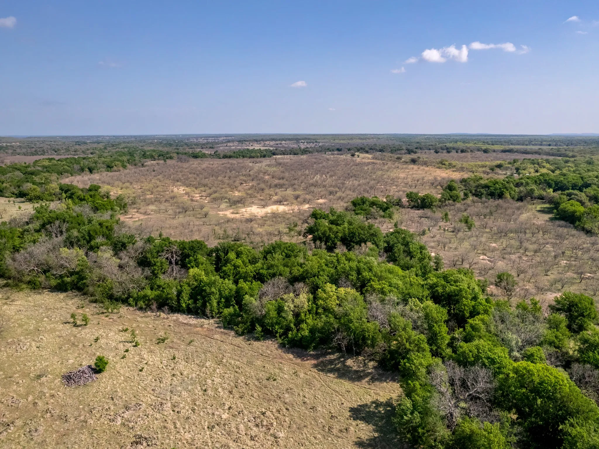 Unimproved Land For Sale in Brown County , 3051 County Road 411 W, Brownwood, Texas 76801, 0, 0, Garage spaces, 0 Sqft, built in 0, mls#21306446, Real Estate Agent in Brownwood, Homes For Sale in Brown county, Homes For Sale in Brownwood, Realtor in Brownwood Texas, Real Estate Brokerage Independent Realty Texas, Luminita Cordes Realtor