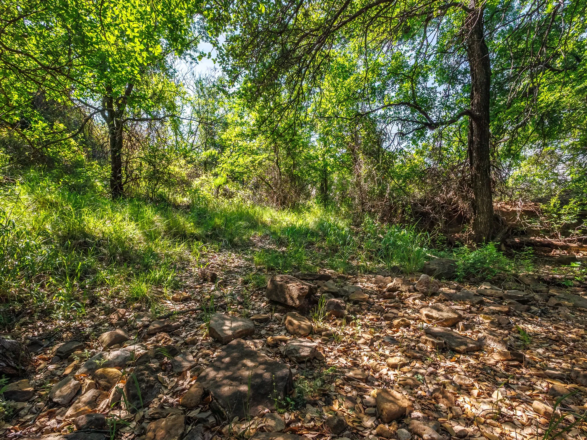 Unimproved Land For Sale in Brown County , 3051 County Road 411 W, Brownwood, Texas 76801, 0, 0, Garage spaces, 0 Sqft, built in 0, mls#21306446, Real Estate Agent in Brownwood, Homes For Sale in Brown county, Homes For Sale in Brownwood, Realtor in Brownwood Texas, Real Estate Brokerage Independent Realty Texas, Luminita Cordes Realtor