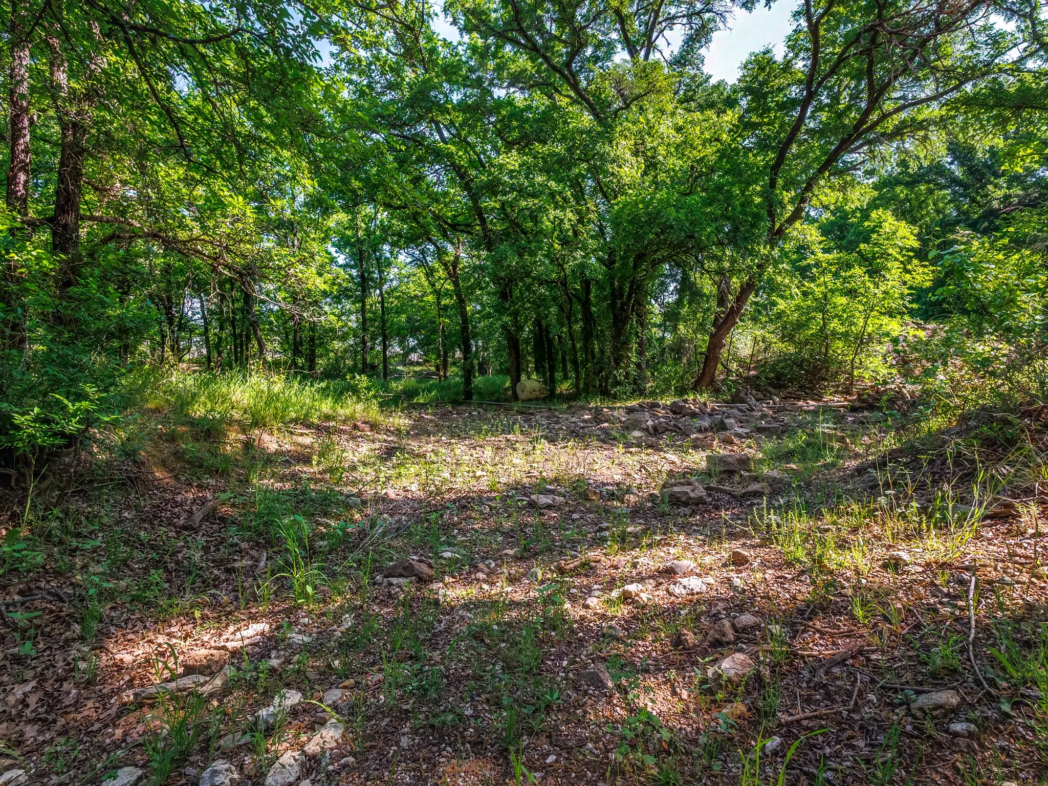 Unimproved Land For Sale in Brown County , 3051 County Road 411 W, Brownwood, Texas 76801, 0, 0, Garage spaces, 0 Sqft, built in 0, mls#21306446, Real Estate Agent in Brownwood, Homes For Sale in Brown county, Homes For Sale in Brownwood, Realtor in Brownwood Texas, Real Estate Brokerage Independent Realty Texas, Luminita Cordes Realtor