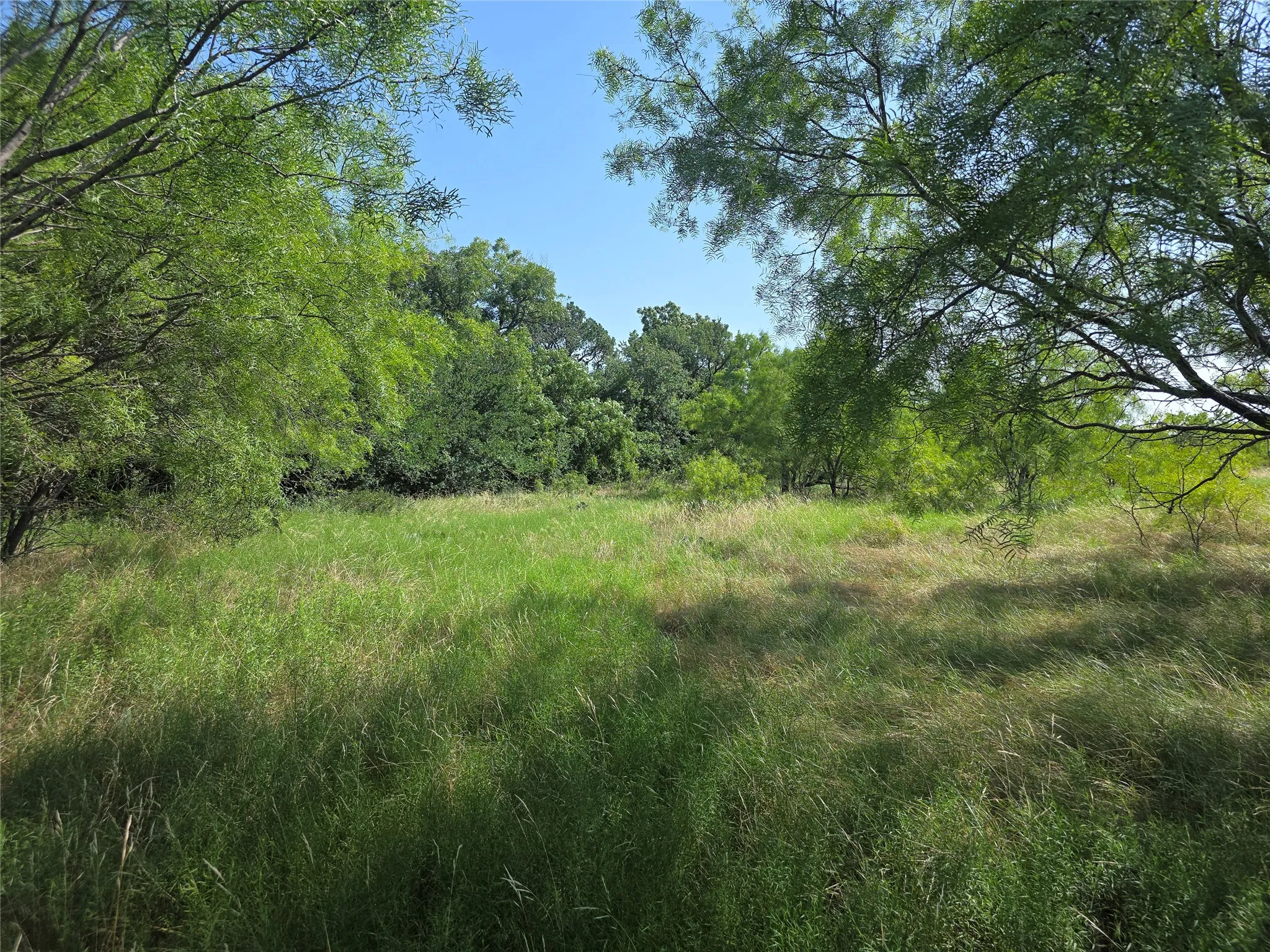 Unimproved Land For Sale in Brown County , 3051 County Road 411 W, Brownwood, Texas 76801, 0, 0, Garage spaces, 0 Sqft, built in 0, mls#21306446, Real Estate Agent in Brownwood, Homes For Sale in Brown county, Homes For Sale in Brownwood, Realtor in Brownwood Texas, Real Estate Brokerage Independent Realty Texas, Luminita Cordes Realtor