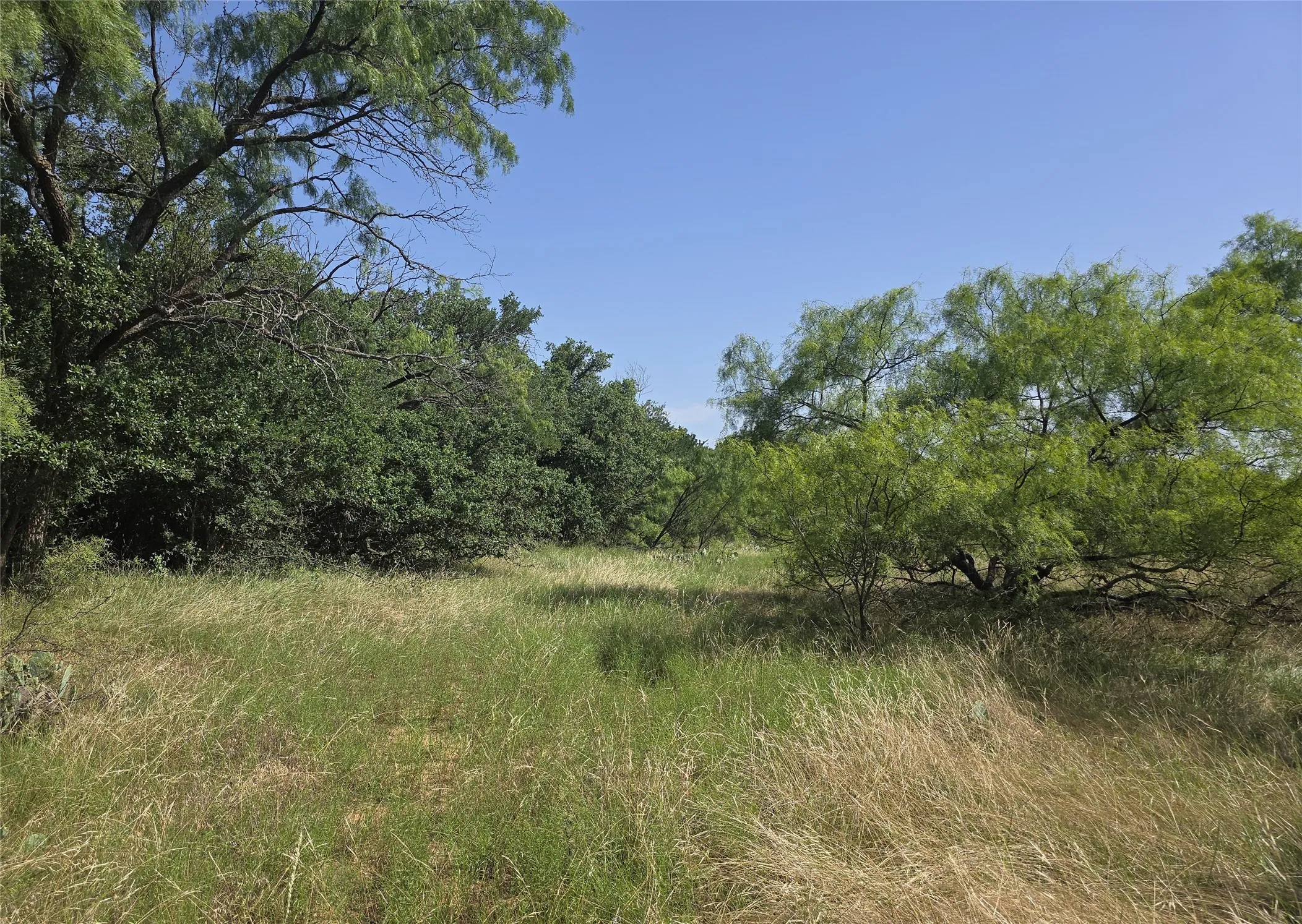 Unimproved Land For Sale in Brown County , 3051 County Road 411 W, Brownwood, Texas 76801, 0, 0, Garage spaces, 0 Sqft, built in 0, mls#21306446, Real Estate Agent in Brownwood, Homes For Sale in Brown county, Homes For Sale in Brownwood, Realtor in Brownwood Texas, Real Estate Brokerage Independent Realty Texas, Luminita Cordes Realtor
