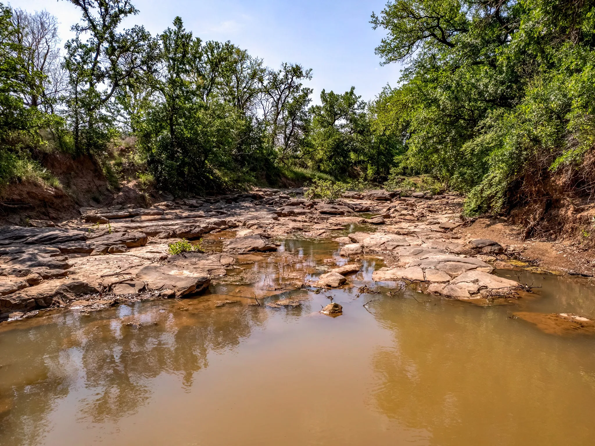 Unimproved Land For Sale in Brown County , 3051 County Road 411 W, Brownwood, Texas 76801, 0, 0, Garage spaces, 0 Sqft, built in 0, mls#21306446, Real Estate Agent in Brownwood, Homes For Sale in Brown county, Homes For Sale in Brownwood, Realtor in Brownwood Texas, Real Estate Brokerage Independent Realty Texas, Luminita Cordes Realtor