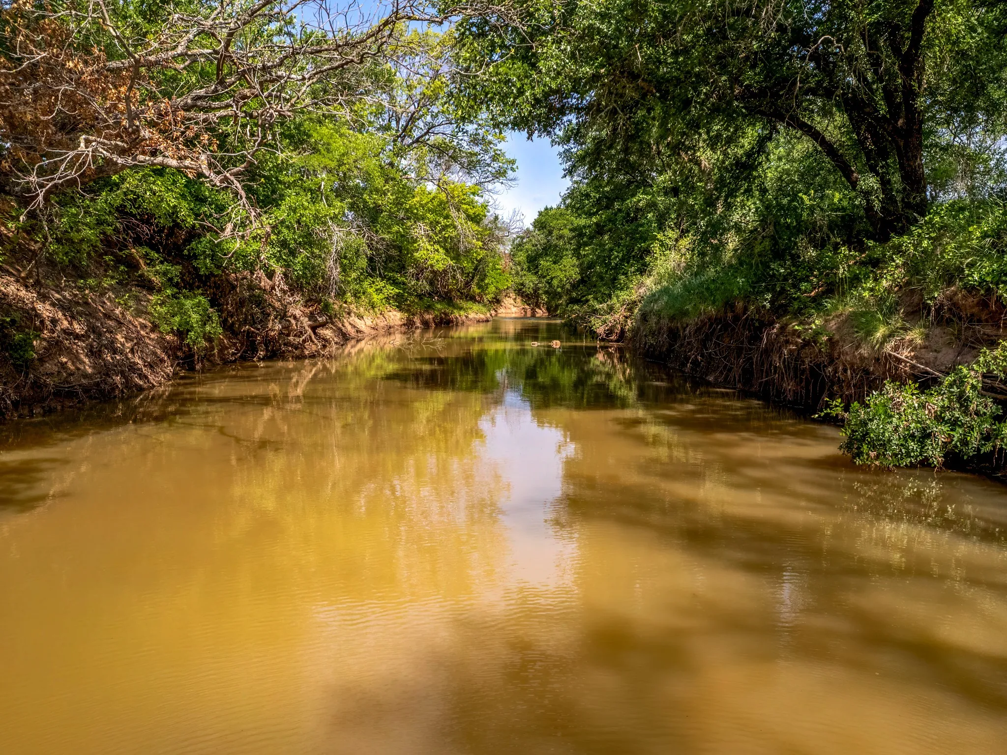 Unimproved Land For Sale in Brown County , 3051 County Road 411 W, Brownwood, Texas 76801, 0, 0, Garage spaces, 0 Sqft, built in 0, mls#21306446, Real Estate Agent in Brownwood, Homes For Sale in Brown county, Homes For Sale in Brownwood, Realtor in Brownwood Texas, Real Estate Brokerage Independent Realty Texas, Luminita Cordes Realtor