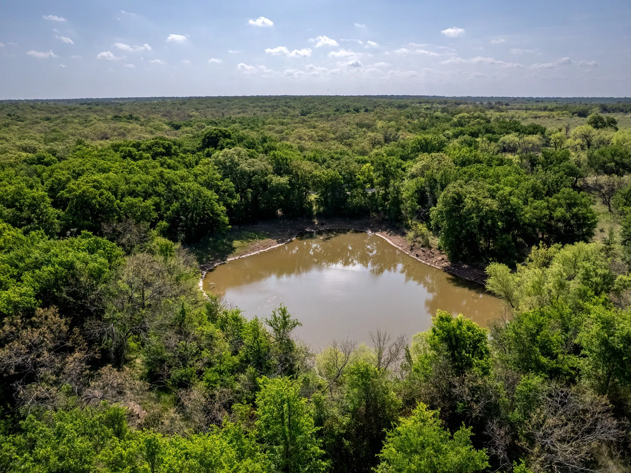Unimproved Land For Sale in Brown County , 3051 County Road 411 W, Brownwood, Texas 76801, 0, 0, Garage spaces, 0 Sqft, built in 0, mls#21306446, Real Estate Agent in Brownwood, Homes For Sale in Brown county, Homes For Sale in Brownwood, Realtor in Brownwood Texas, Real Estate Brokerage Independent Realty Texas, Luminita Cordes Realtor