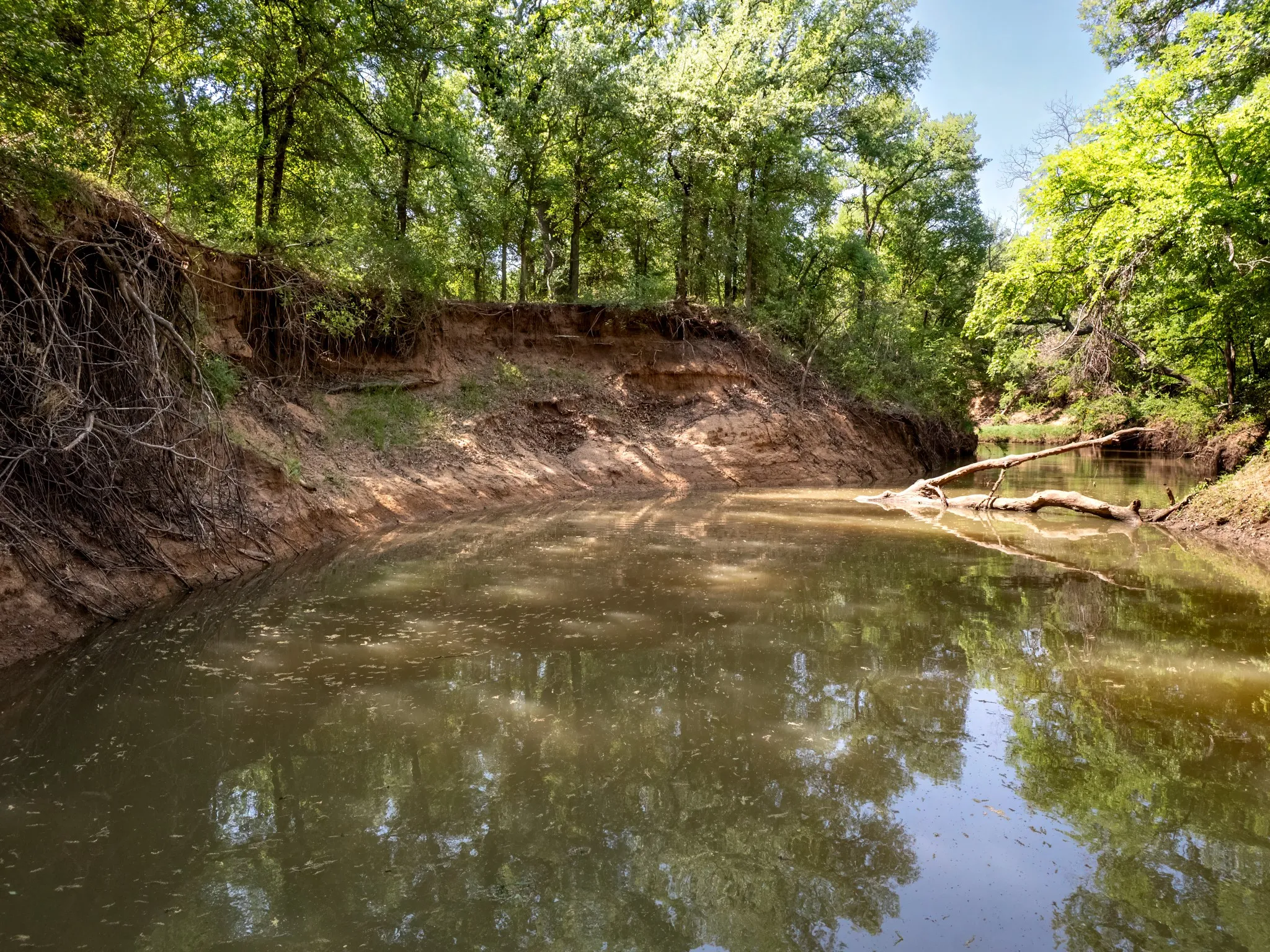 Unimproved Land For Sale in Brown County , 3051 County Road 411 W, Brownwood, Texas 76801, 0, 0, Garage spaces, 0 Sqft, built in 0, mls#21306446, Real Estate Agent in Brownwood, Homes For Sale in Brown county, Homes For Sale in Brownwood, Realtor in Brownwood Texas, Real Estate Brokerage Independent Realty Texas, Luminita Cordes Realtor