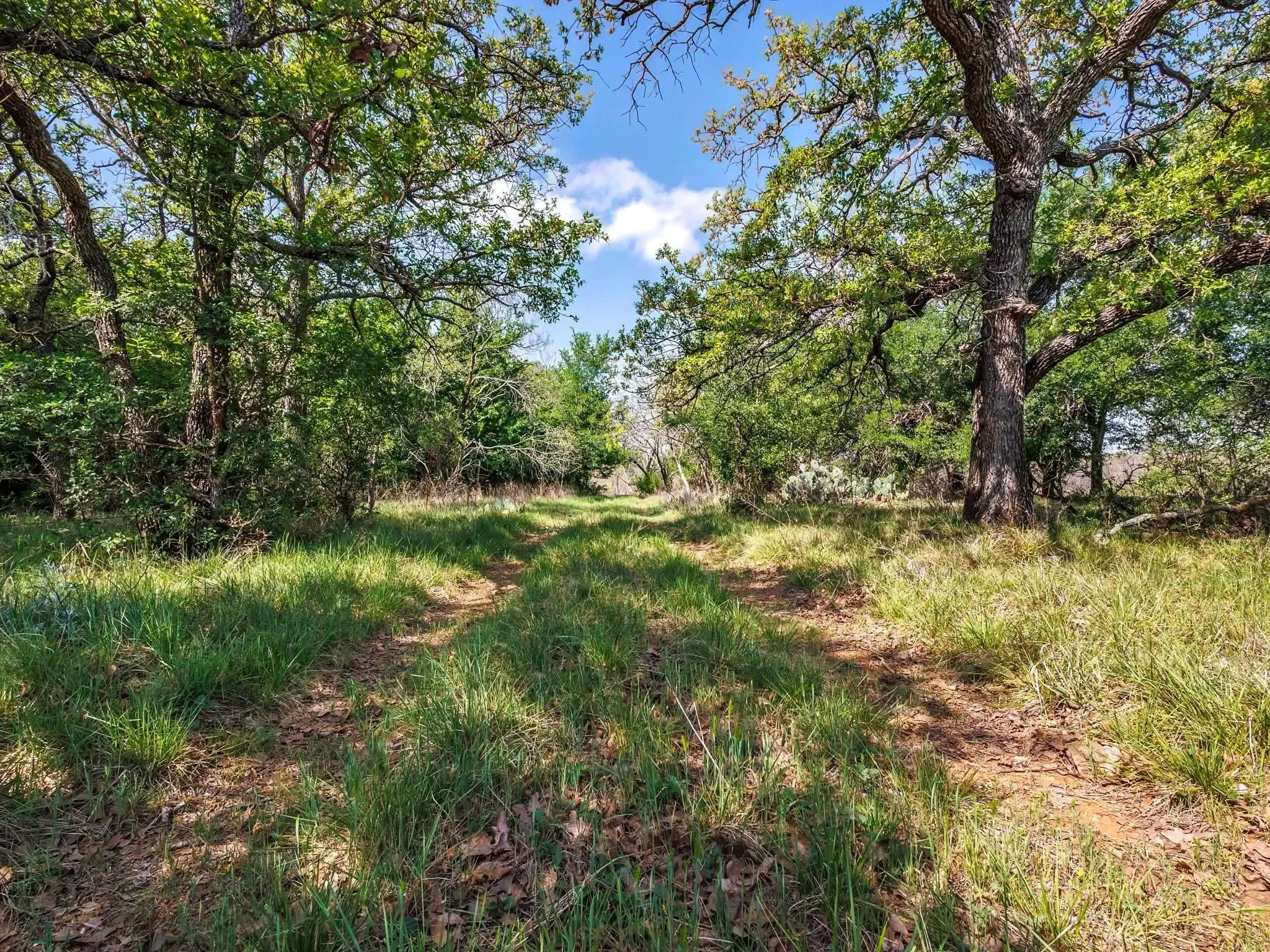 Unimproved Land For Sale in Brown County , 3051 County Road 411 W, Brownwood, Texas 76801, 0, 0, Garage spaces, 0 Sqft, built in 0, mls#21306446, Real Estate Agent in Brownwood, Homes For Sale in Brown county, Homes For Sale in Brownwood, Realtor in Brownwood Texas, Real Estate Brokerage Independent Realty Texas, Luminita Cordes Realtor
