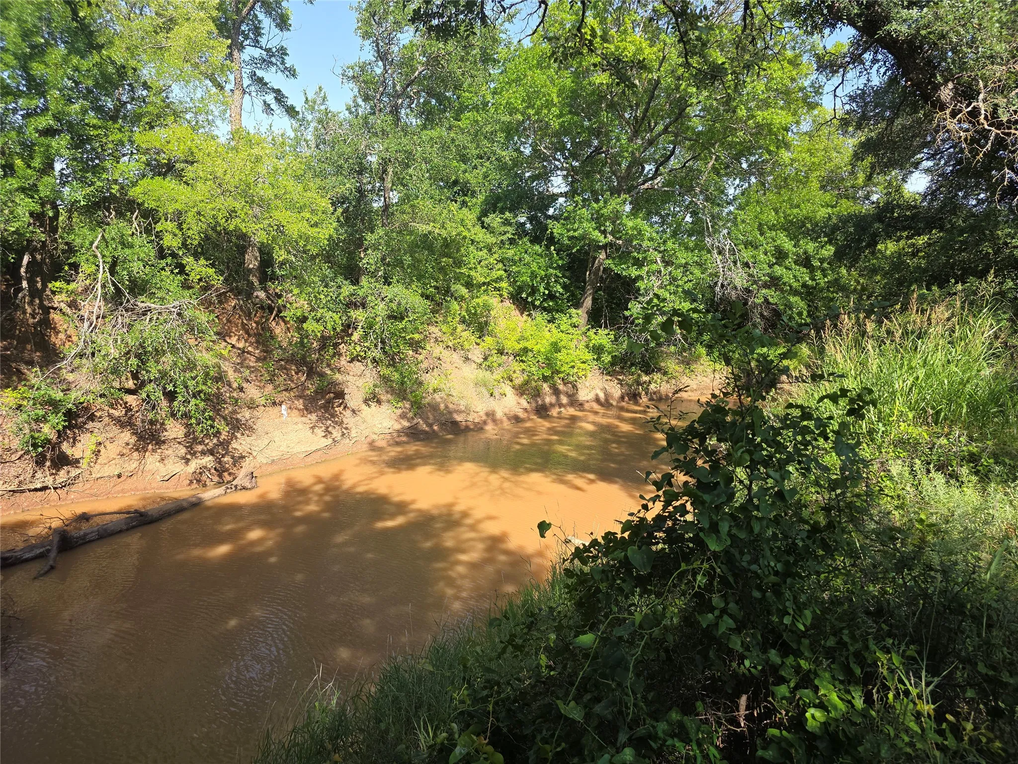 Unimproved Land For Sale in Brown County , 3051 County Road 411 W, Brownwood, Texas 76801, 0, 0, Garage spaces, 0 Sqft, built in 0, mls#21306446, Real Estate Agent in Brownwood, Homes For Sale in Brown county, Homes For Sale in Brownwood, Realtor in Brownwood Texas, Real Estate Brokerage Independent Realty Texas, Luminita Cordes Realtor
