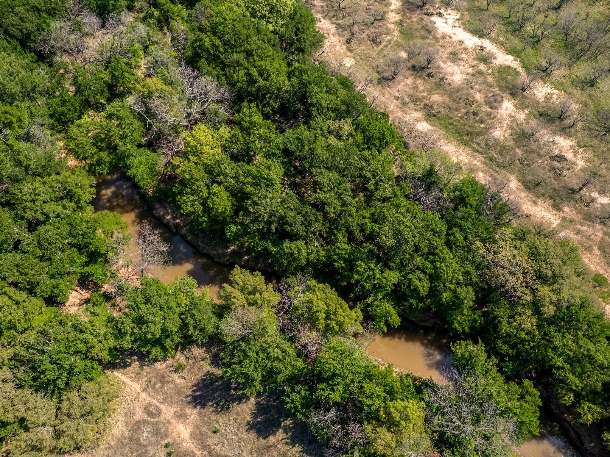 Unimproved Land For Sale in Brown County , 3051 County Road 411 W, Brownwood, Texas 76801, 0, 0, Garage spaces, 0 Sqft, built in 0, mls#21306446, Real Estate Agent in Brownwood, Homes For Sale in Brown county, Homes For Sale in Brownwood, Realtor in Brownwood Texas, Real Estate Brokerage Independent Realty Texas, Luminita Cordes Realtor