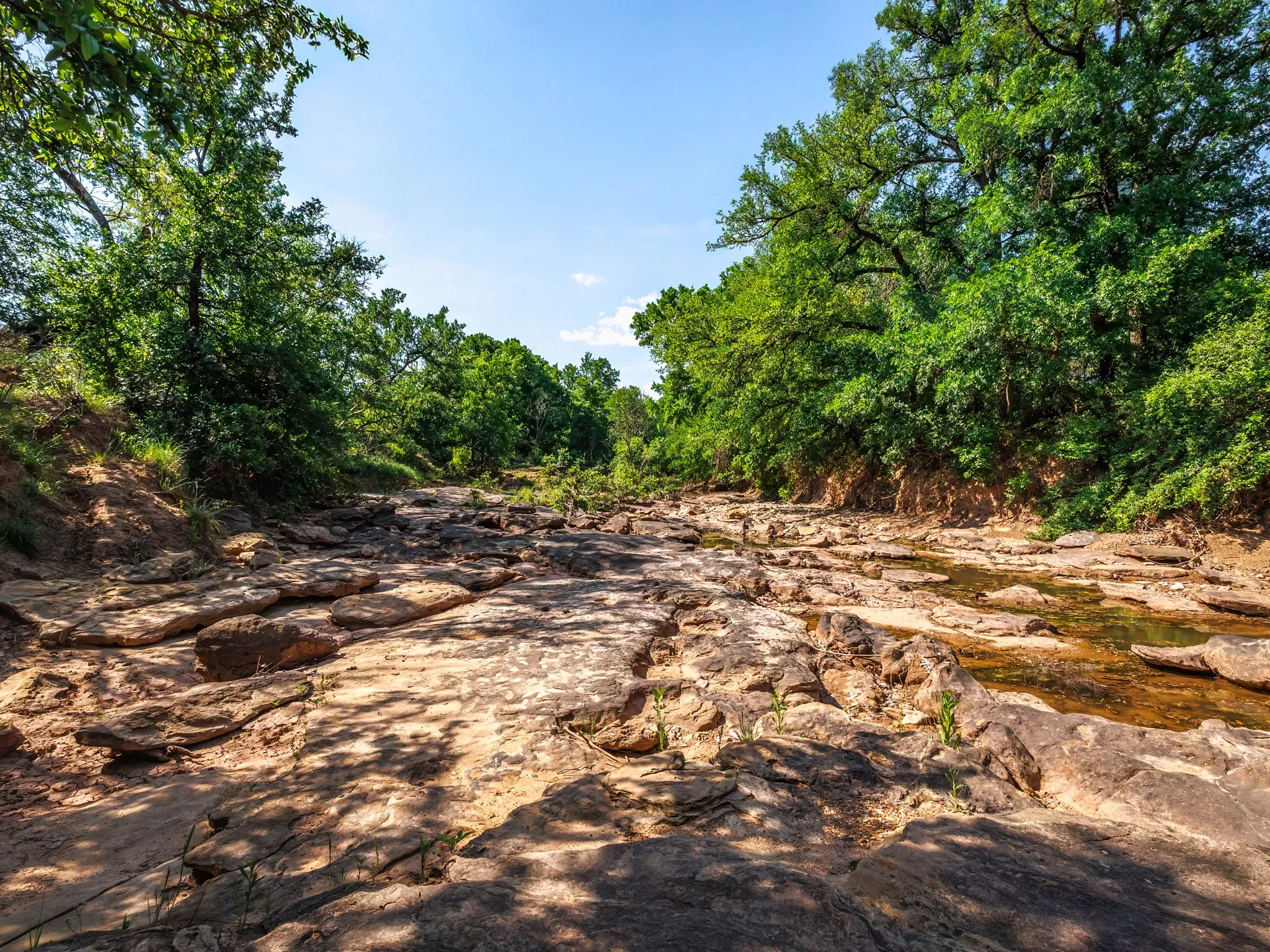 Unimproved Land For Sale in Brown County , 3051 County Road 411 W, Brownwood, Texas 76801, 0, 0, Garage spaces, 0 Sqft, built in 0, mls#21306446, Real Estate Agent in Brownwood, Homes For Sale in Brown county, Homes For Sale in Brownwood, Realtor in Brownwood Texas, Real Estate Brokerage Independent Realty Texas, Luminita Cordes Realtor