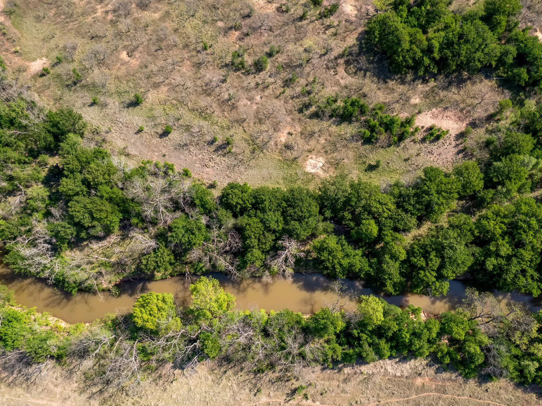 Unimproved Land For Sale in Brown County , 3051 County Road 411 W, Brownwood, Texas 76801, 0, 0, Garage spaces, 0 Sqft, built in 0, mls#21306446, Real Estate Agent in Brownwood, Homes For Sale in Brown county, Homes For Sale in Brownwood, Realtor in Brownwood Texas, Real Estate Brokerage Independent Realty Texas, Luminita Cordes Realtor