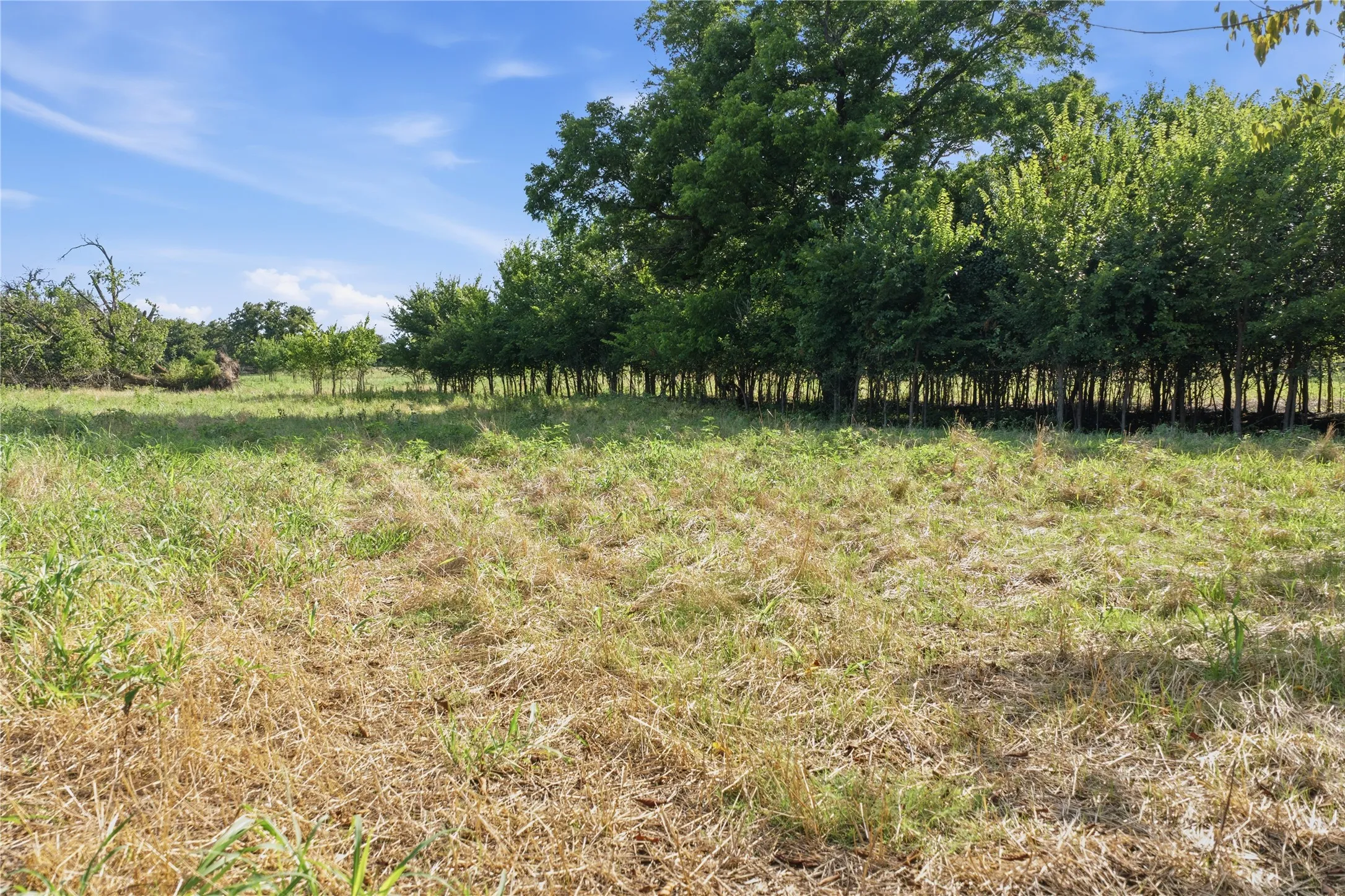 Ranch For Sale in Parker County , 5615 N FM 51, Weatherford, Texas 76085, 0, 0, Garage spaces, 0 Sqft, built in 0, Price $560,000, mls#21307489, Real Estate Agent in Weatherford, Homes For Sale in Parker county, Homes For Sale in Weatherford, Realtor in Weatherford Texas, Real Estate Brokerage Independent Realty Texas, Luminita Cordes Realtor