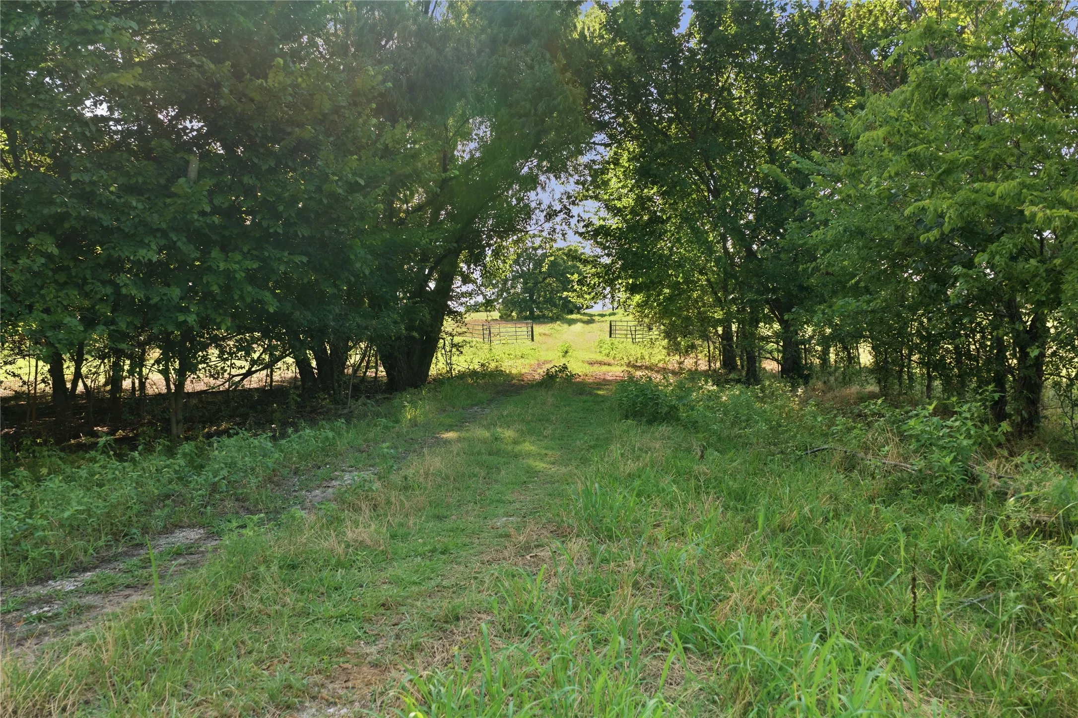 Ranch For Sale in Parker County , 5615 N FM 51, Weatherford, Texas 76085, 0, 0, Garage spaces, 0 Sqft, built in 0, Price $560,000, mls#21307489, Real Estate Agent in Weatherford, Homes For Sale in Parker county, Homes For Sale in Weatherford, Realtor in Weatherford Texas, Real Estate Brokerage Independent Realty Texas, Luminita Cordes Realtor