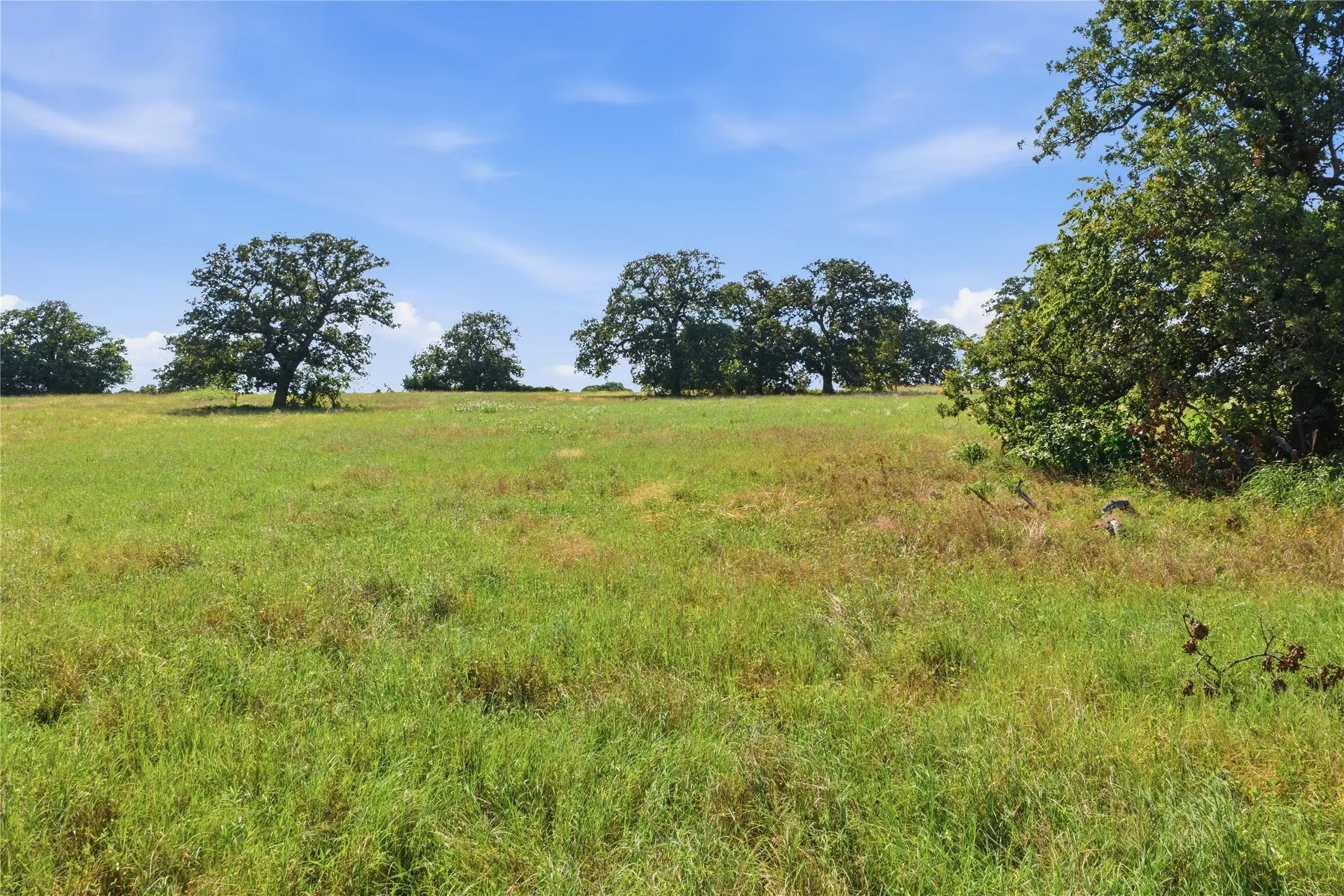 Ranch For Sale in Parker County , 5615 N FM 51, Weatherford, Texas 76085, 0, 0, Garage spaces, 0 Sqft, built in 0, Price $560,000, mls#21307489, Real Estate Agent in Weatherford, Homes For Sale in Parker county, Homes For Sale in Weatherford, Realtor in Weatherford Texas, Real Estate Brokerage Independent Realty Texas, Luminita Cordes Realtor